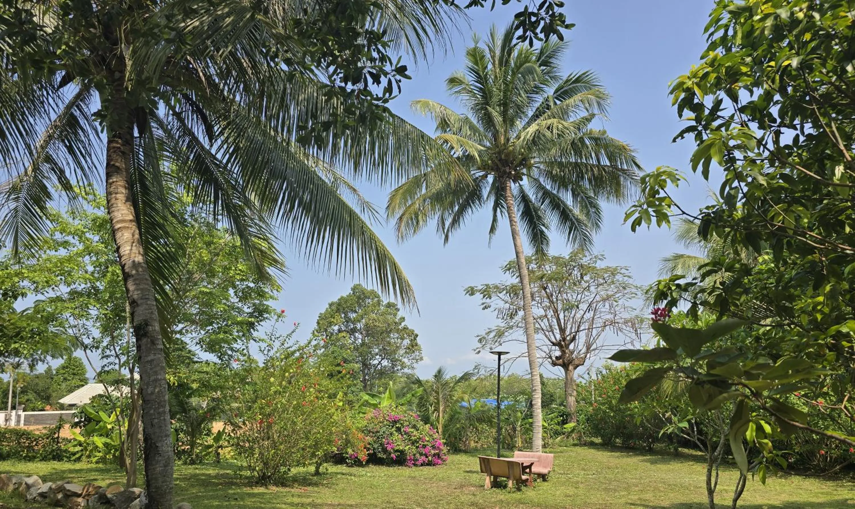 Garden in Kep Lodge