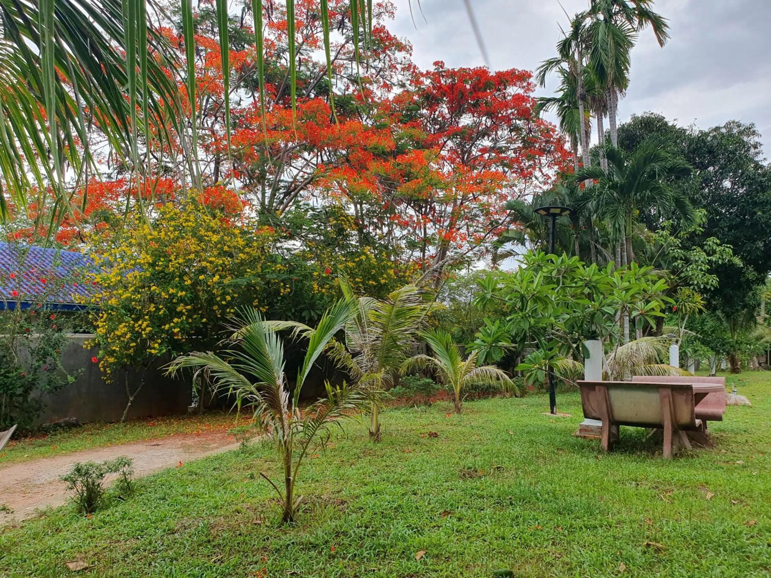 Spring in Kep Lodge