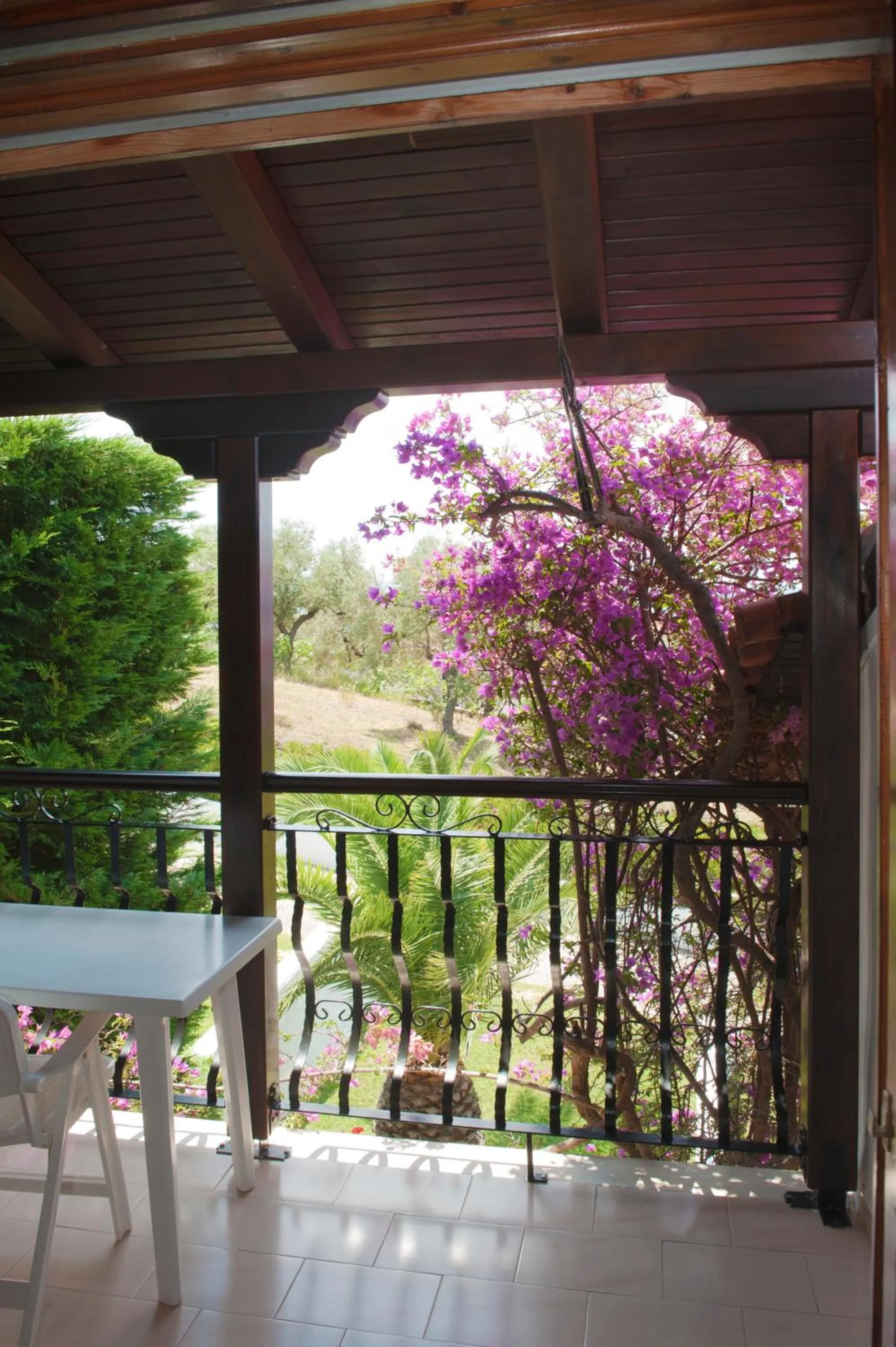 Day in Villa Anna Maria