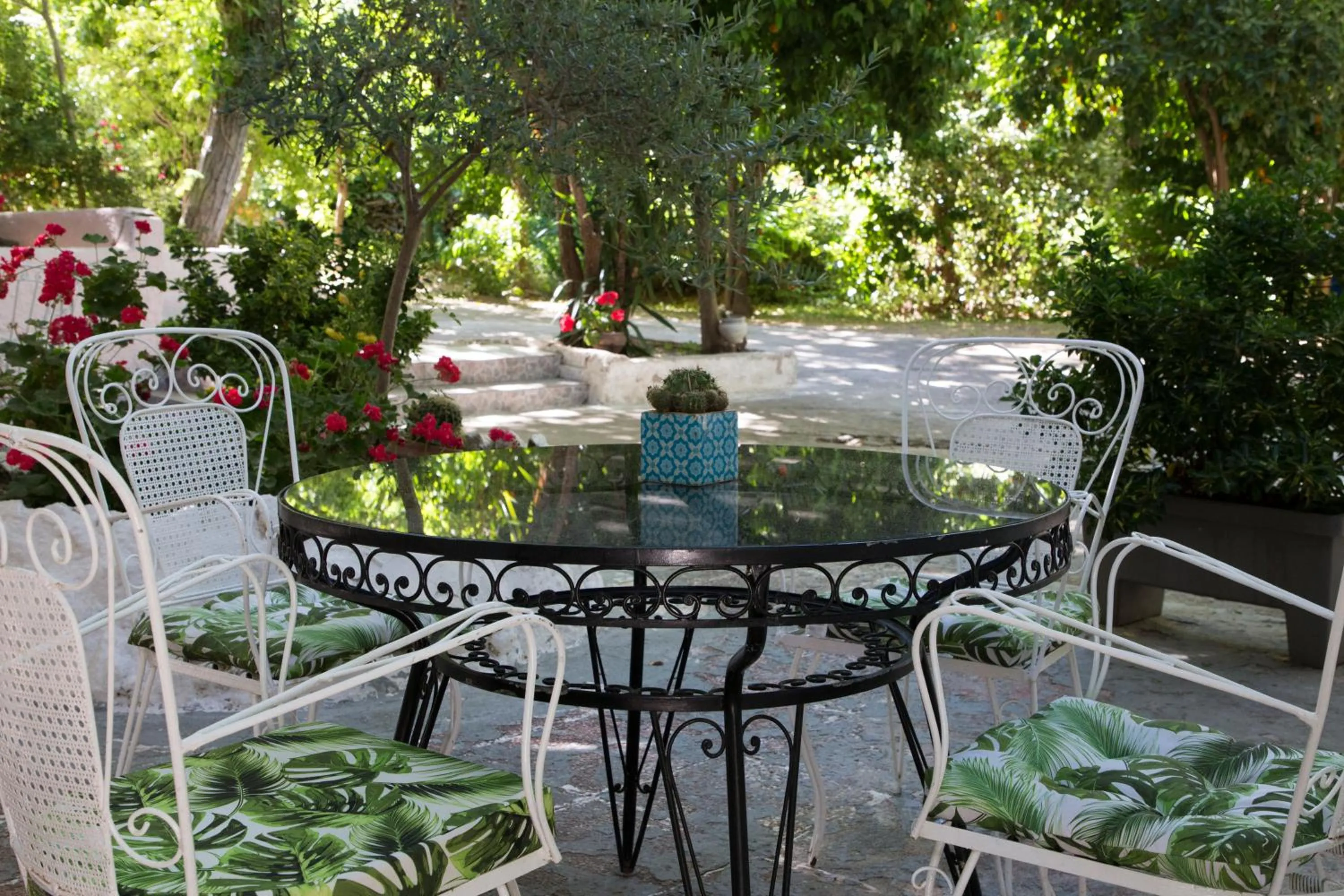 Natural landscape in Hotel Kastri