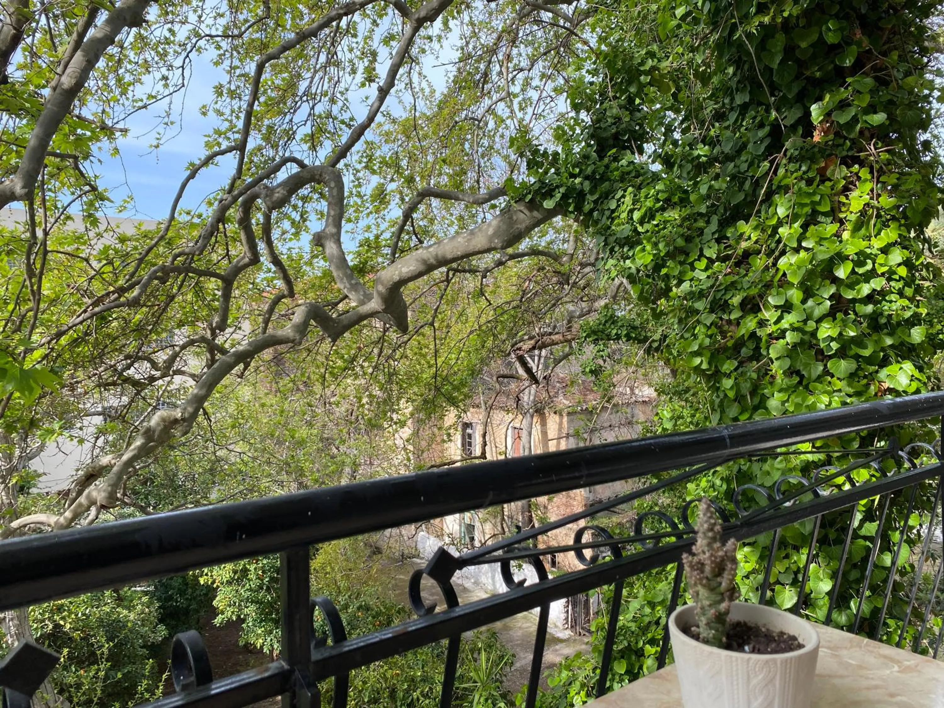 Balcony/Terrace in Hotel Kastri