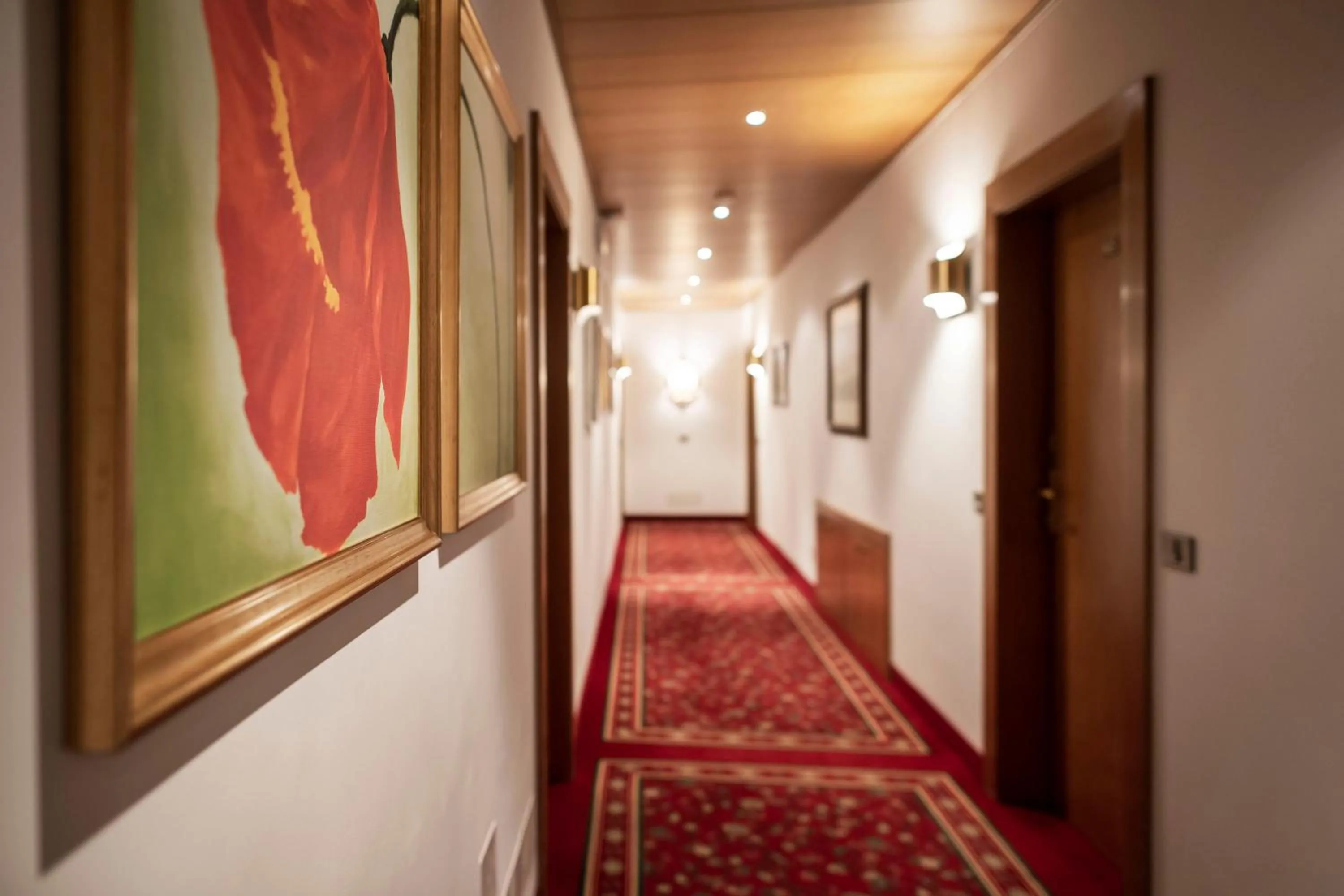 View (from property/room) in Residence Villa Stella