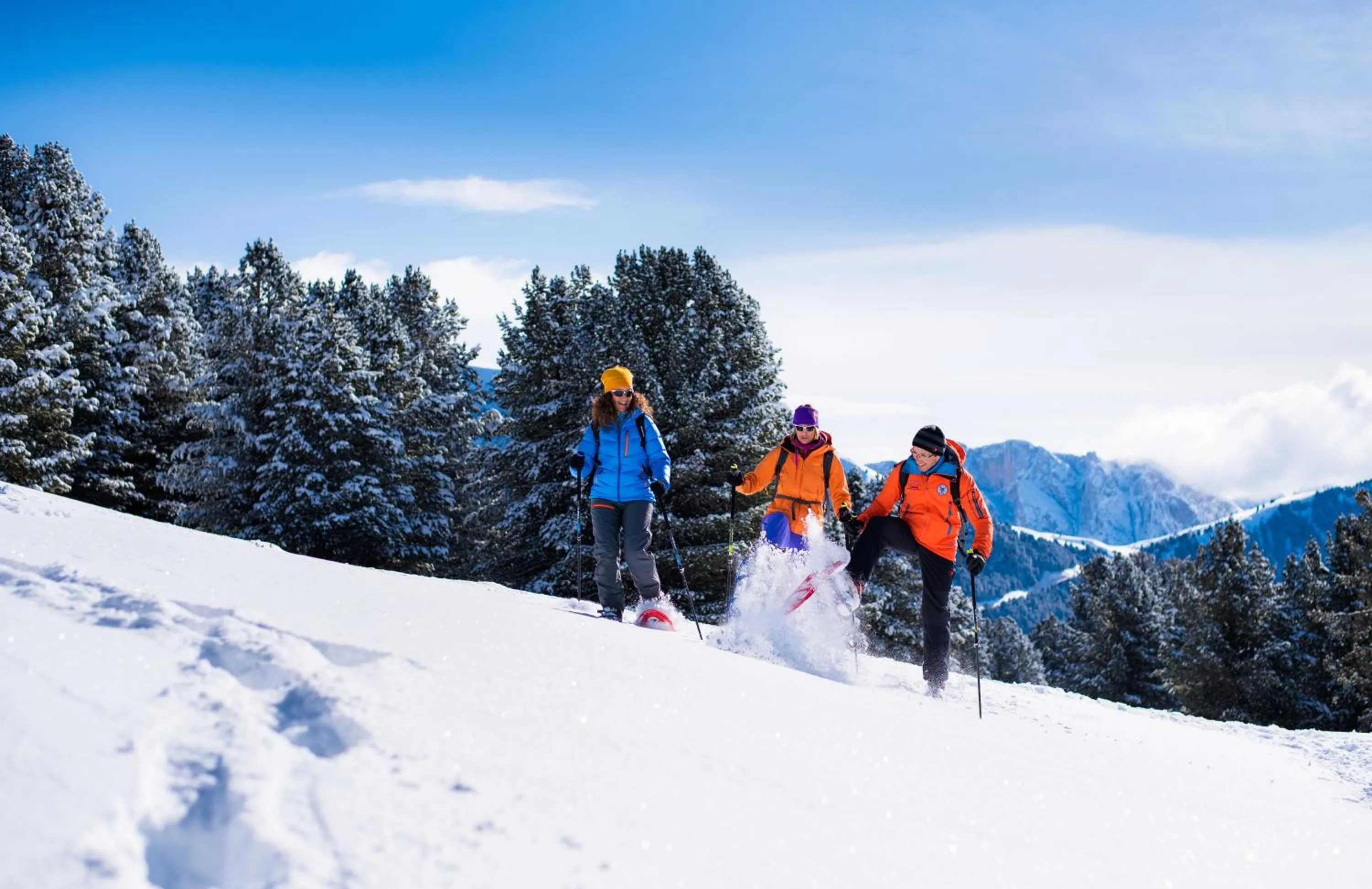 Nearby landmark in Residence Villa Stella