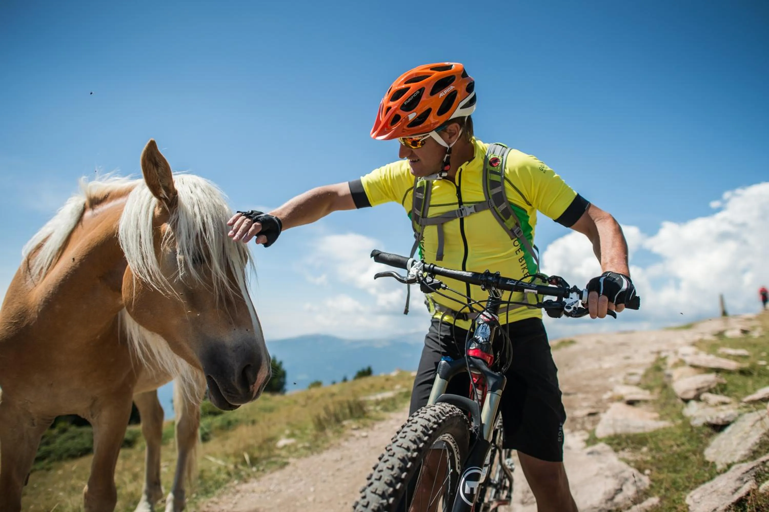 Nearby landmark in Residence Villa Stella