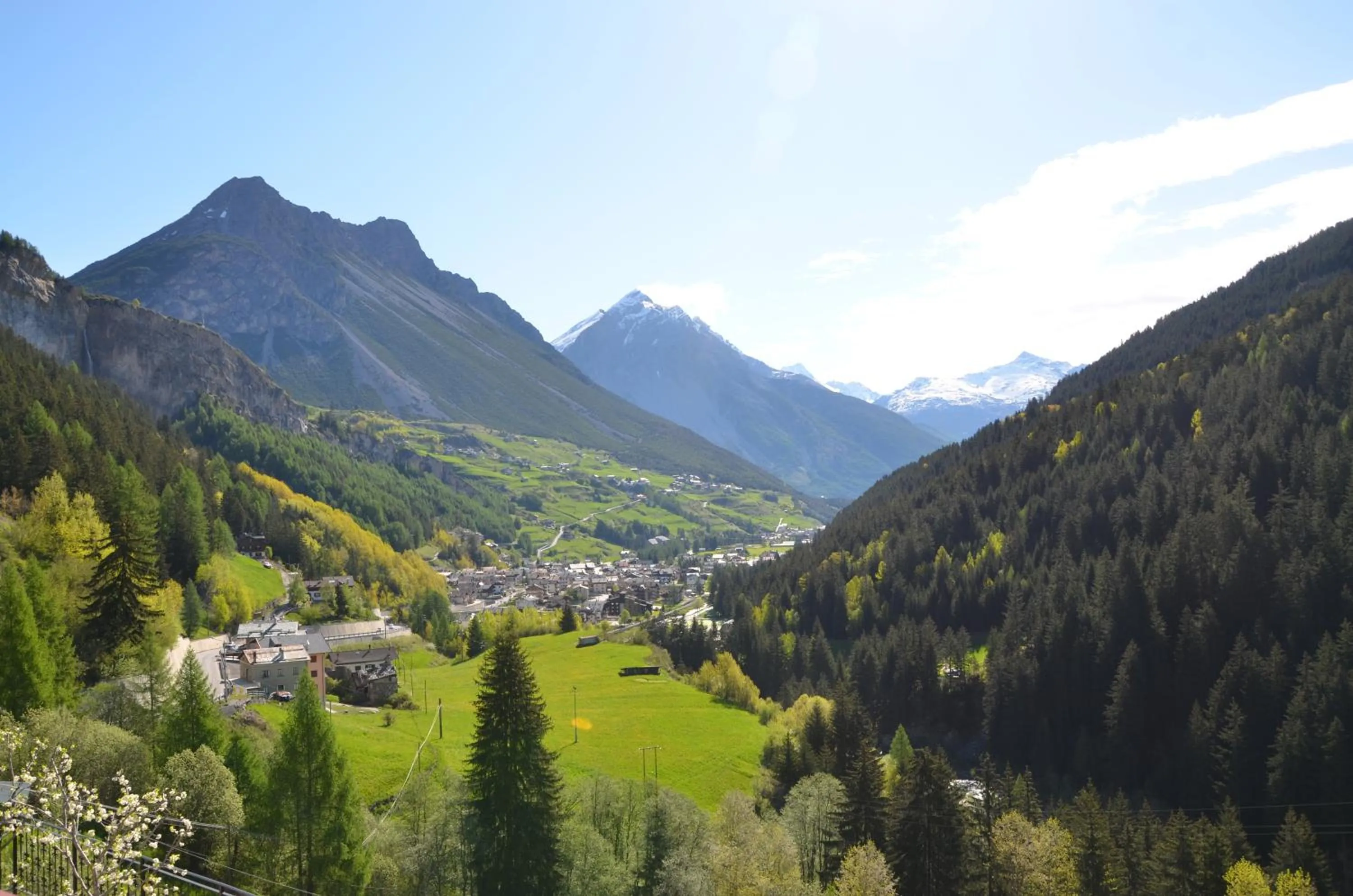 Summer in Meublè Rosalpina
