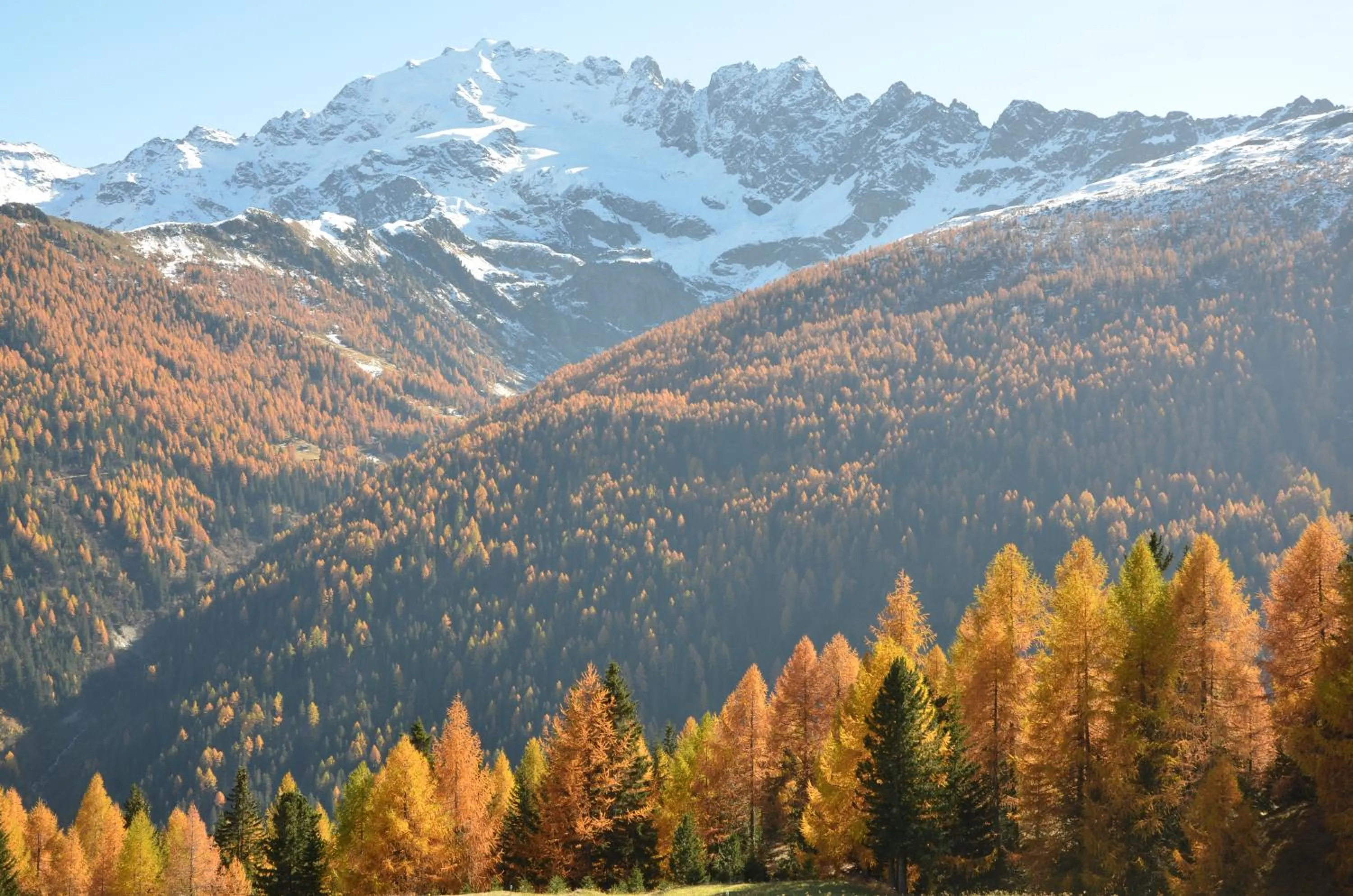 Hiking in Meublè Rosalpina