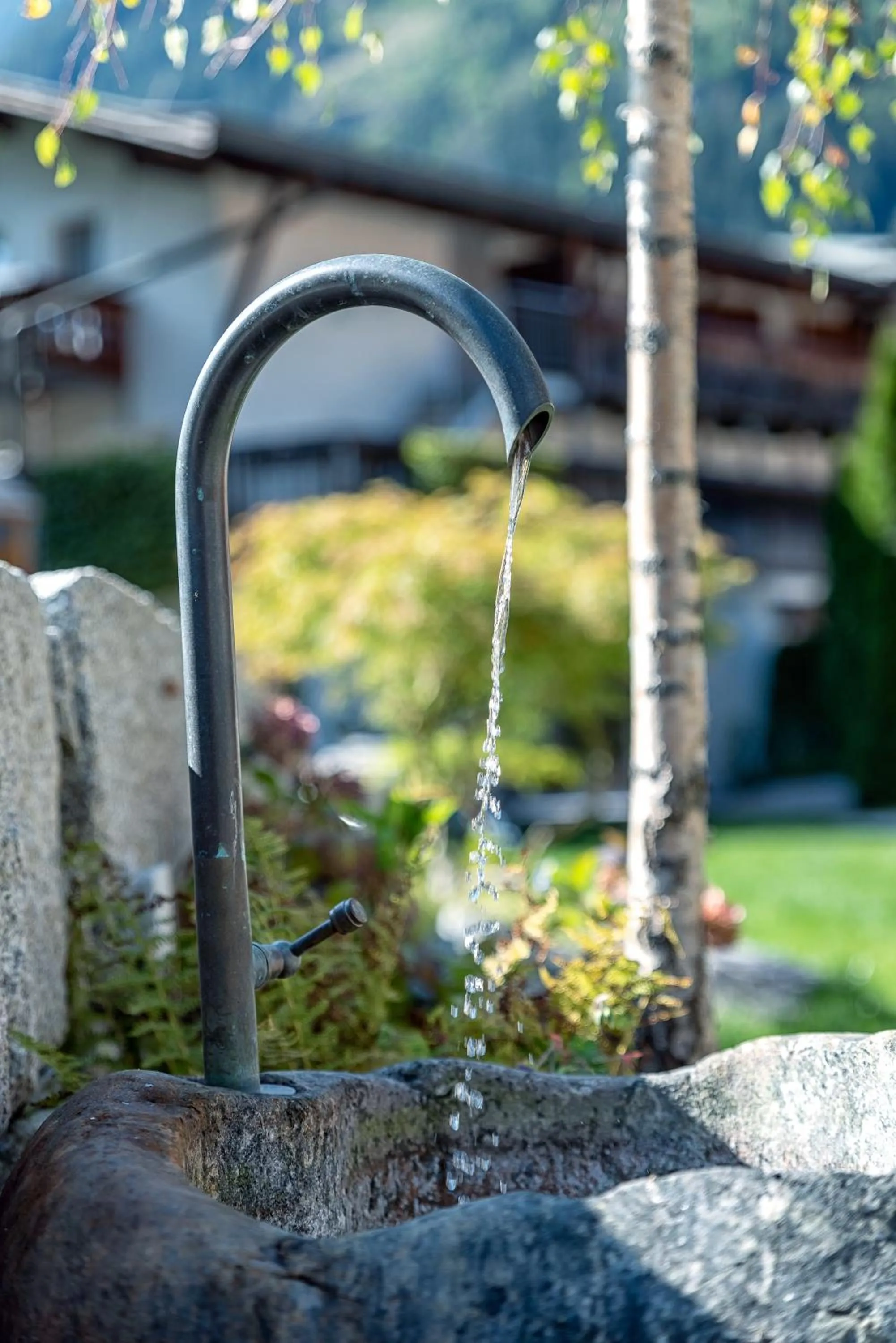 Garden in Alpenresort Thanner