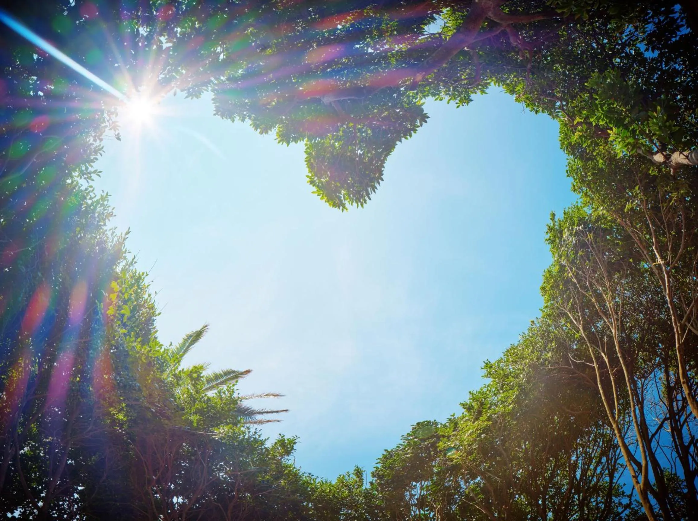 Natural landscape in Sono Calm Jeju