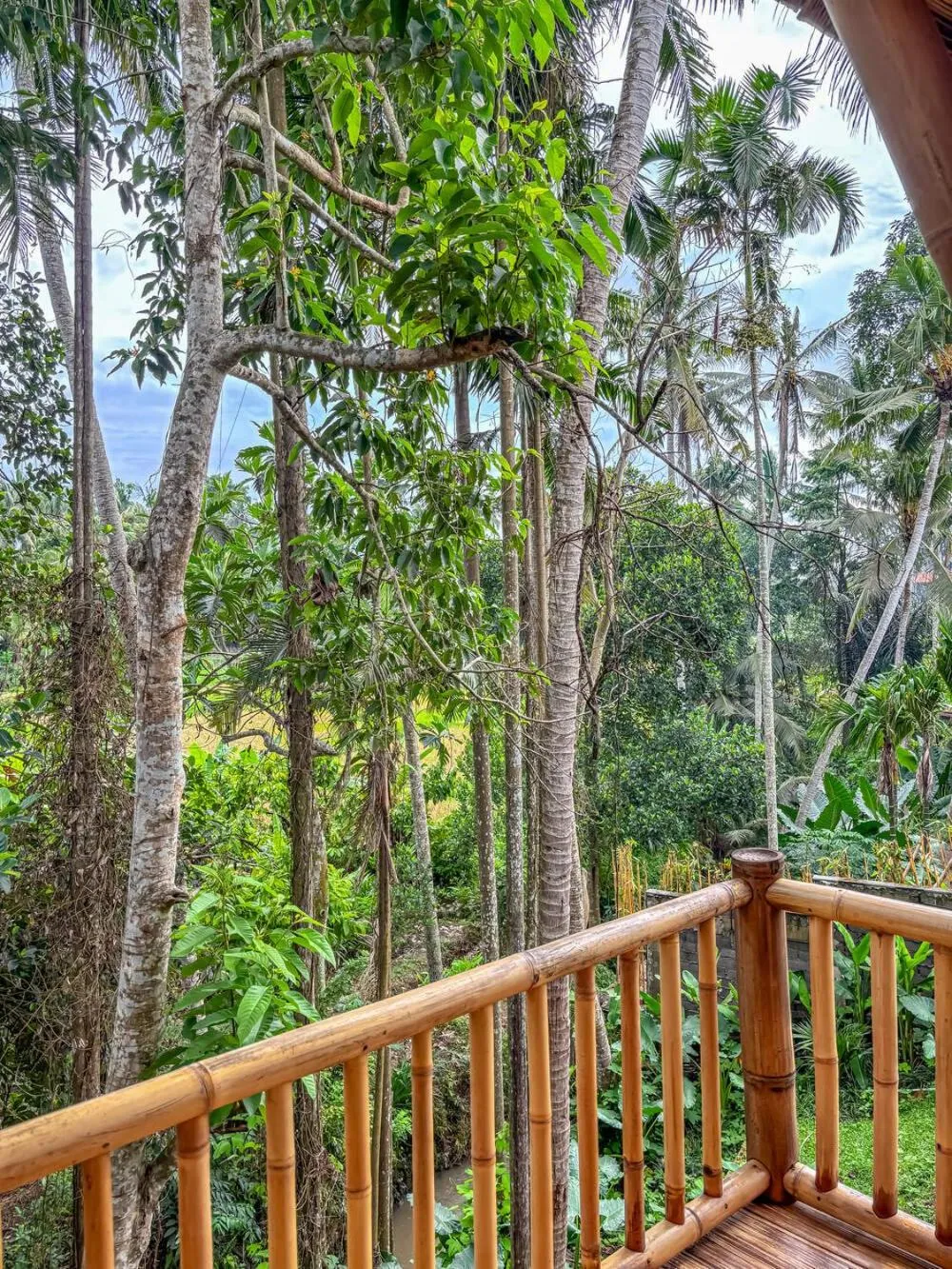 View (from property/room) in Wadari Retreat Villa Ubud