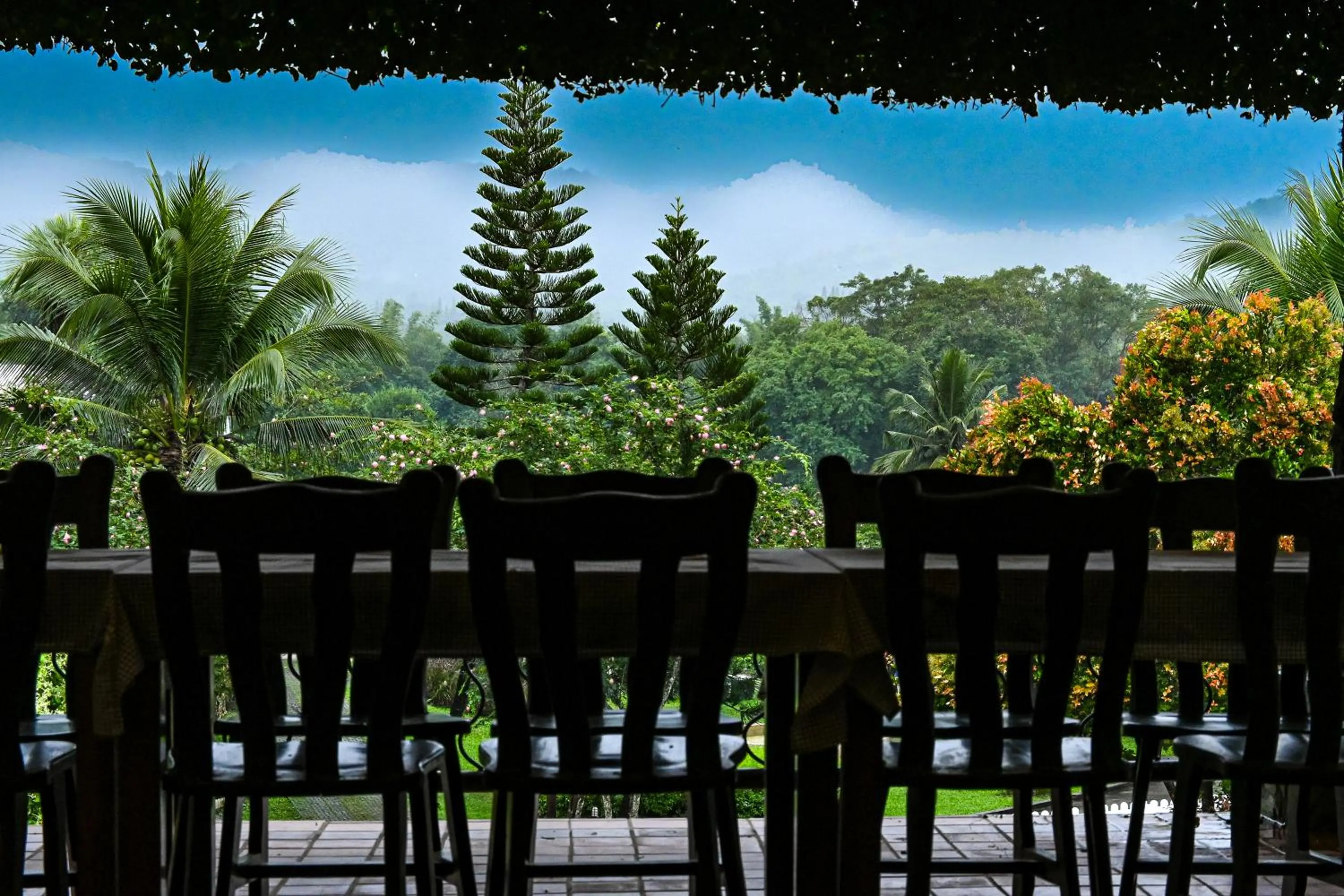 View (from property/room) in Swiss Valley Hip Resort