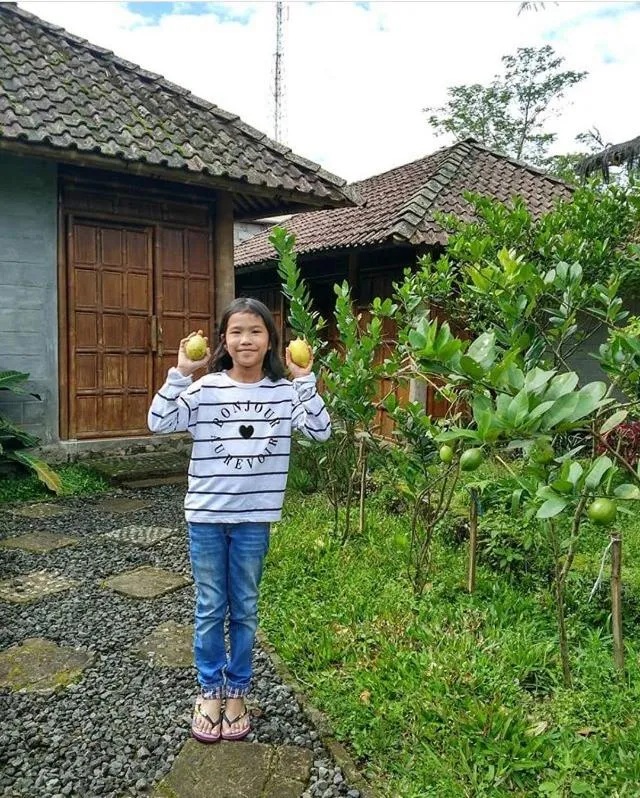 Pondok Bamboo Sendangsari