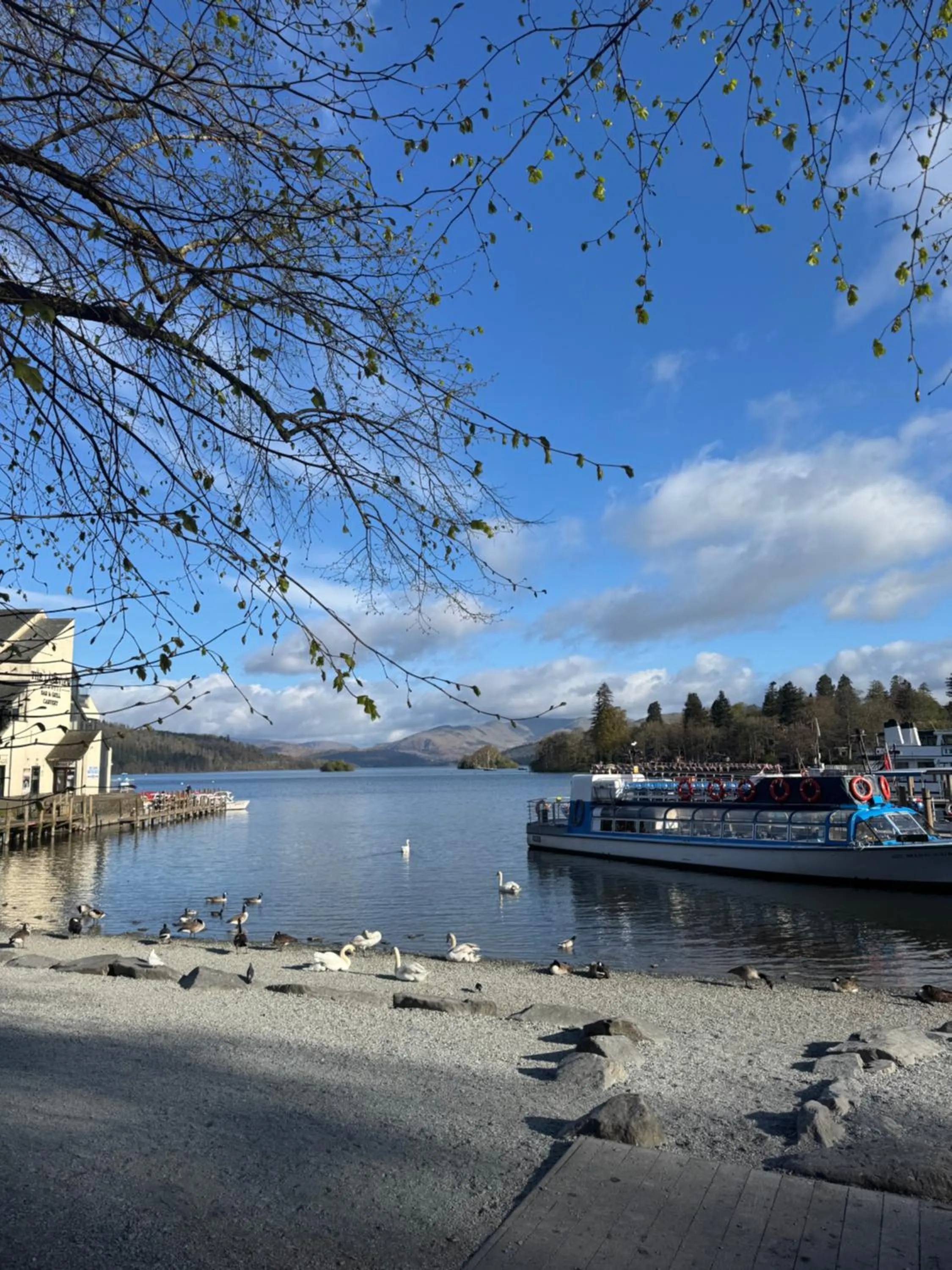 Natural landscape in Denecrest Guest House