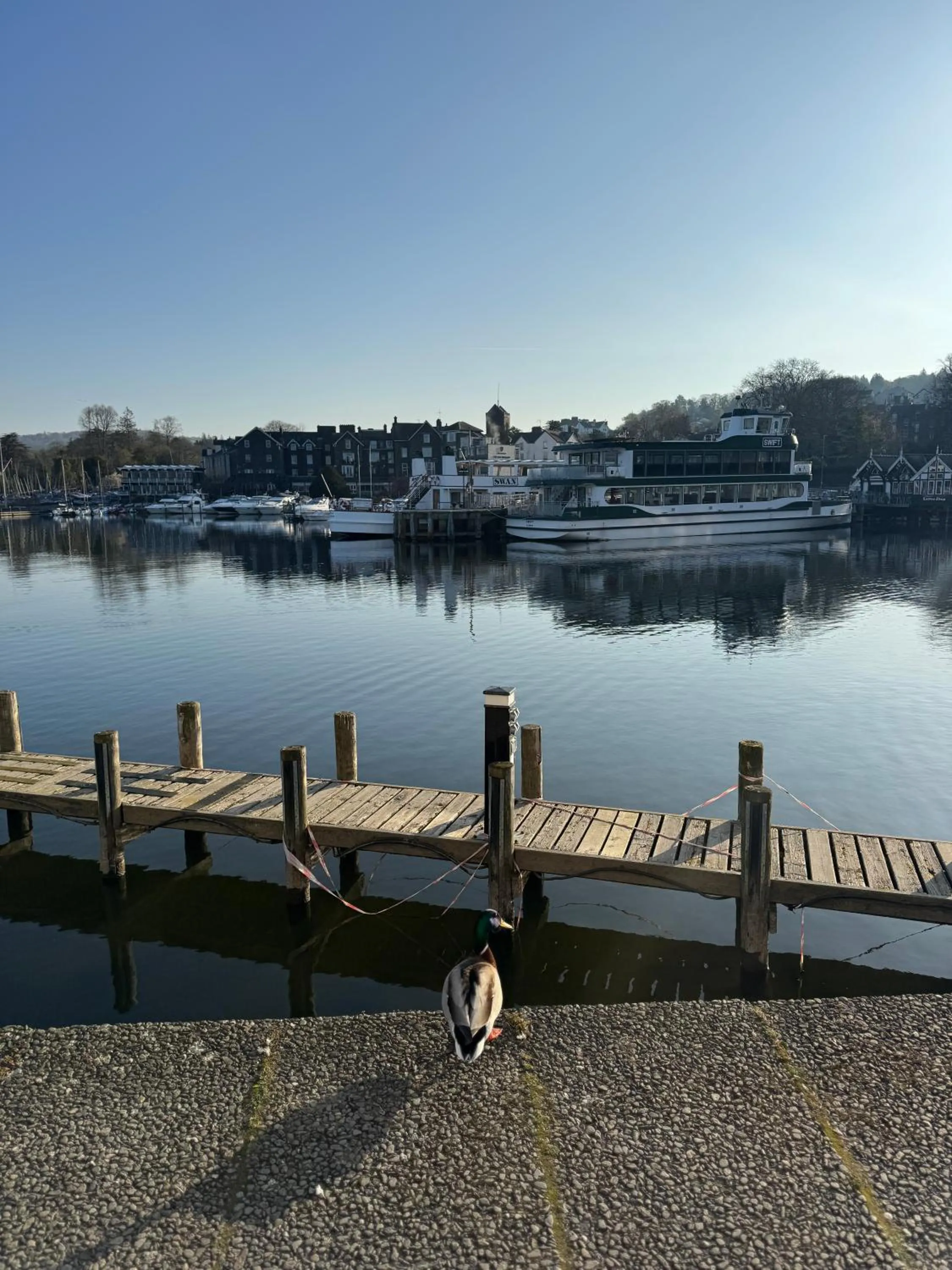 Natural landscape in Denecrest Guest House