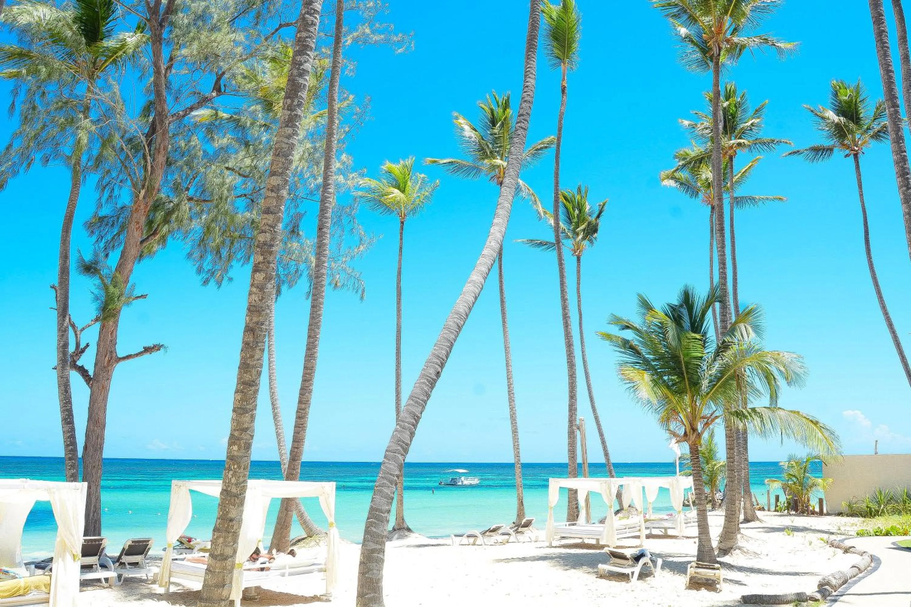 Beach in Vista Sol Punta Cana Beach Resort & Spa - All Inclusive