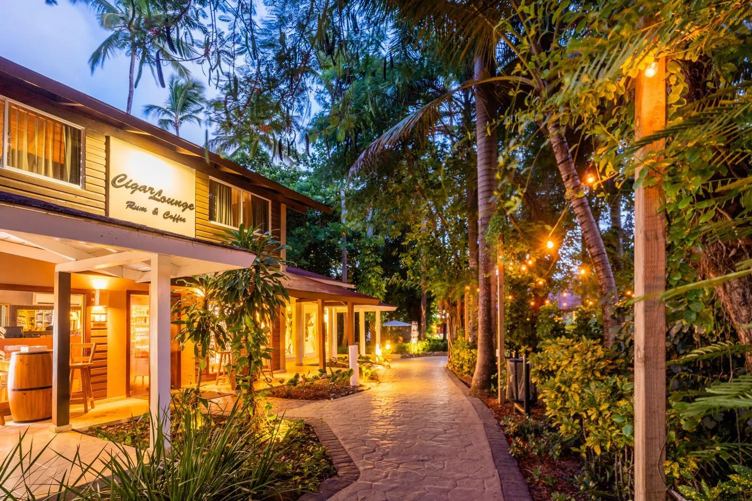 Garden in Vista Sol Punta Cana Beach Resort & Spa - All Inclusive