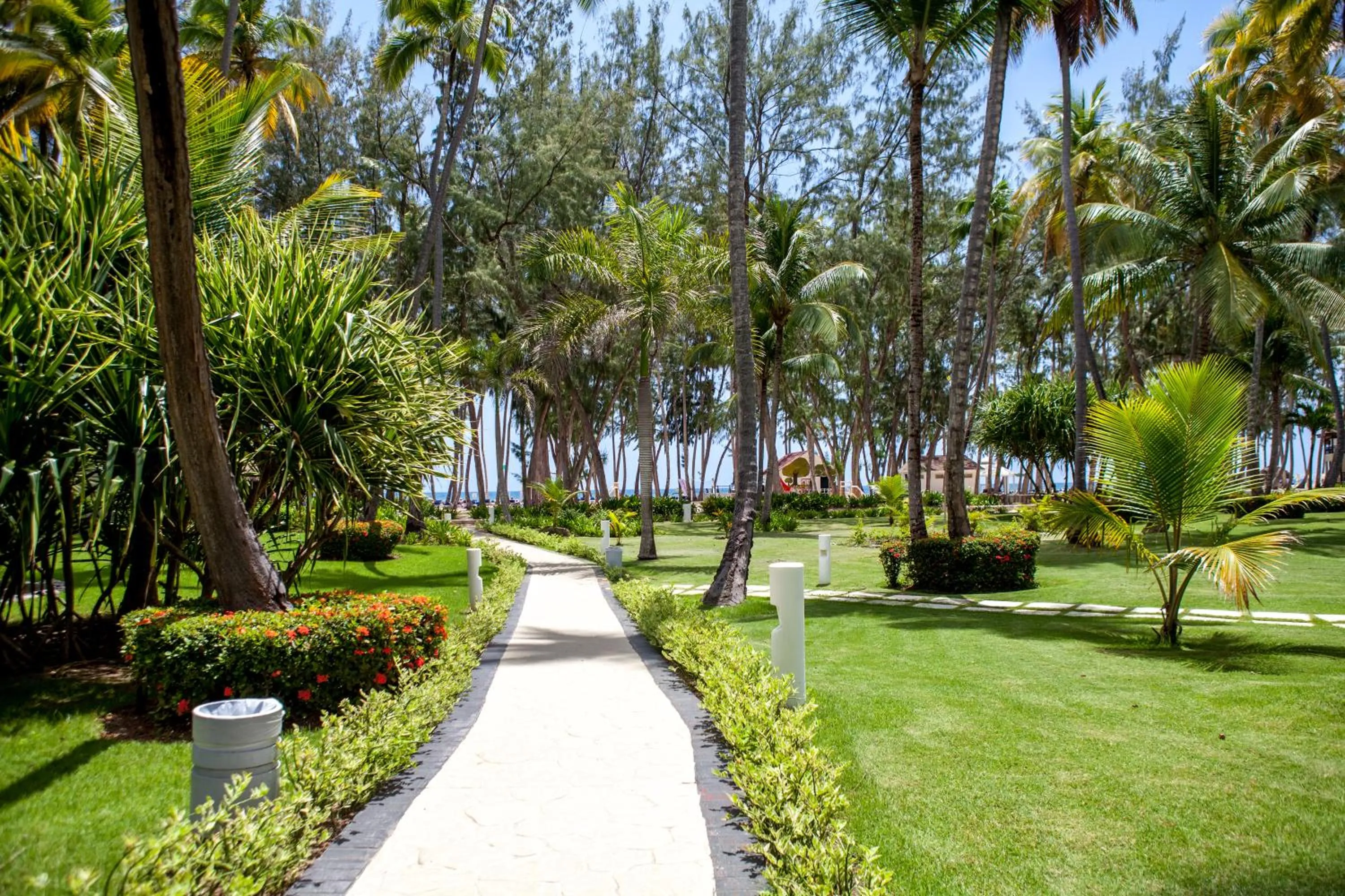 Garden in Vista Sol Punta Cana Beach Resort & Spa - All Inclusive