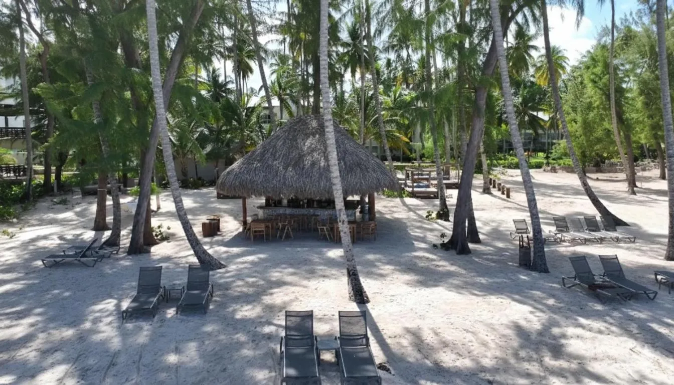 Lounge or bar in Vista Sol Punta Cana Beach Resort & Spa - All Inclusive