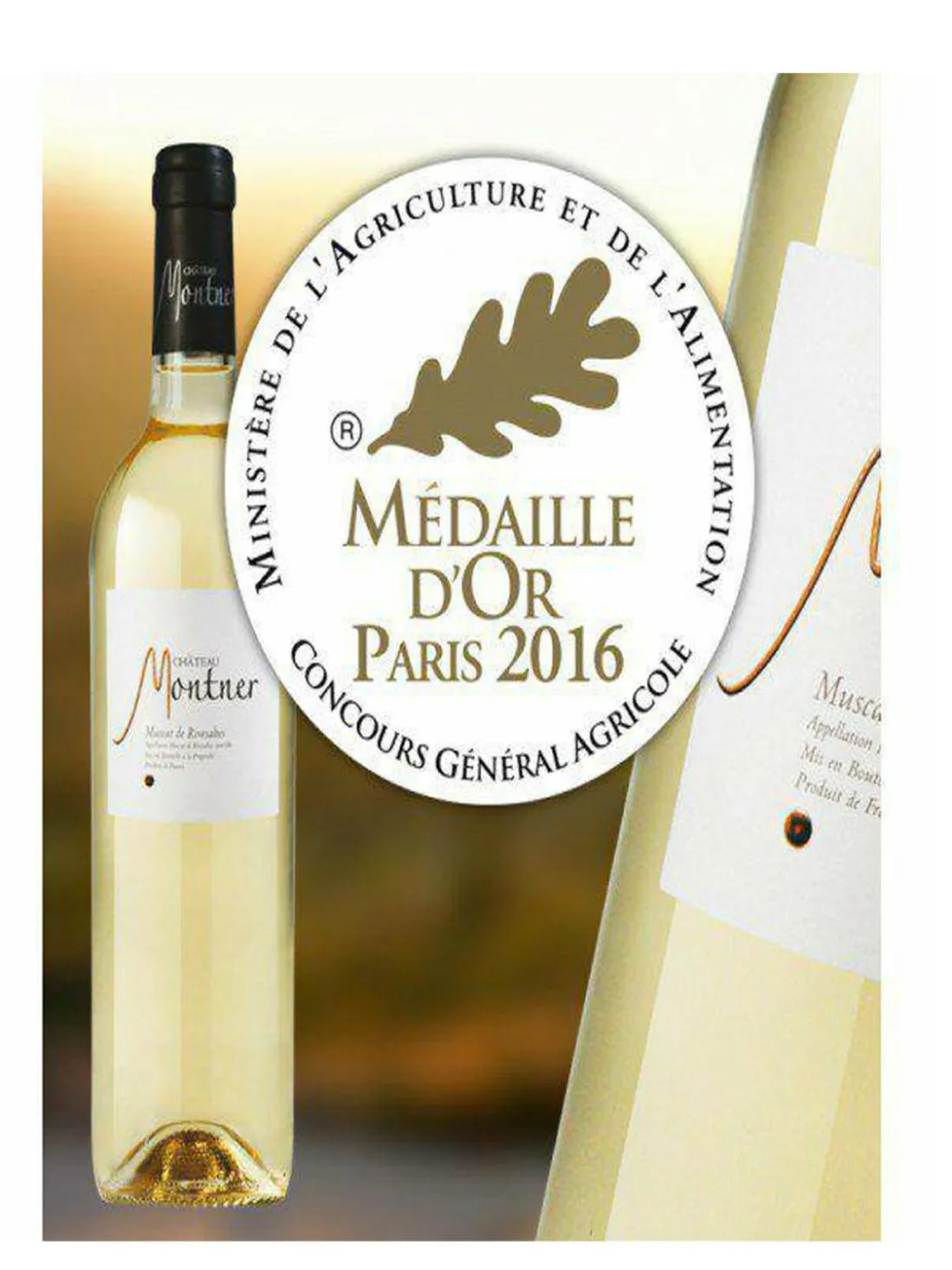 Entre mer et montagne