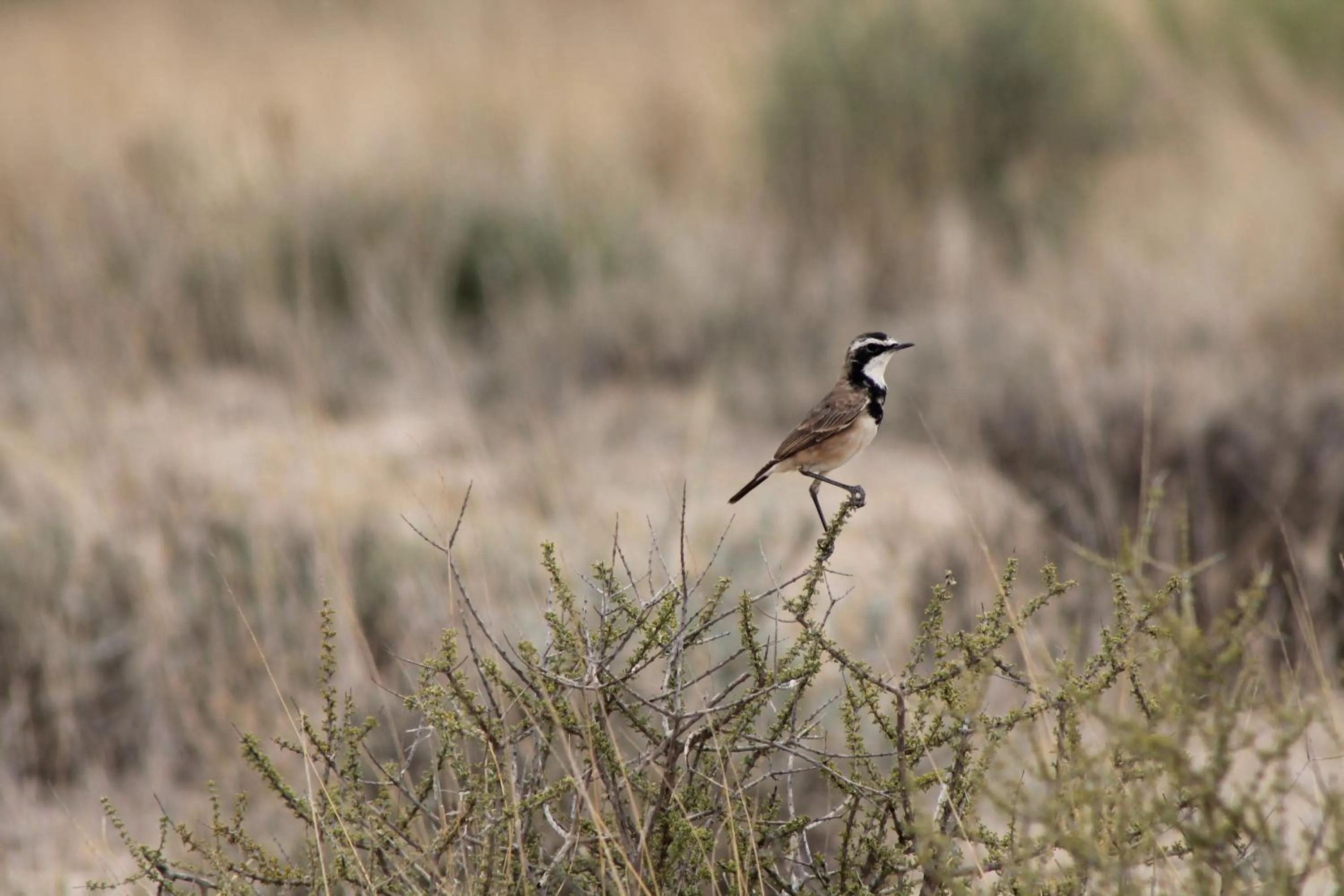 Neighbourhood in Eldorado Lodge CC