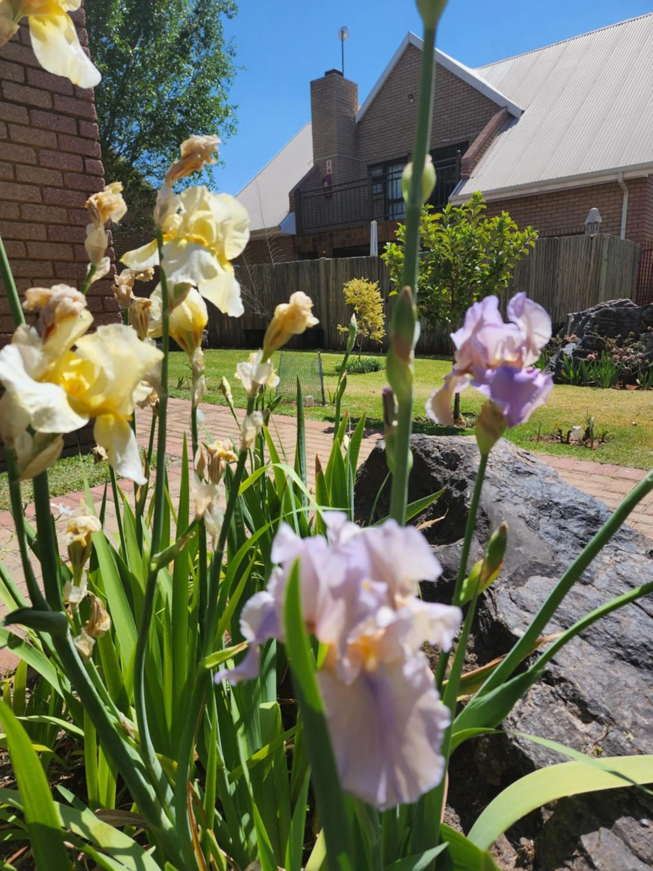 Garden in Eldorado Lodge CC