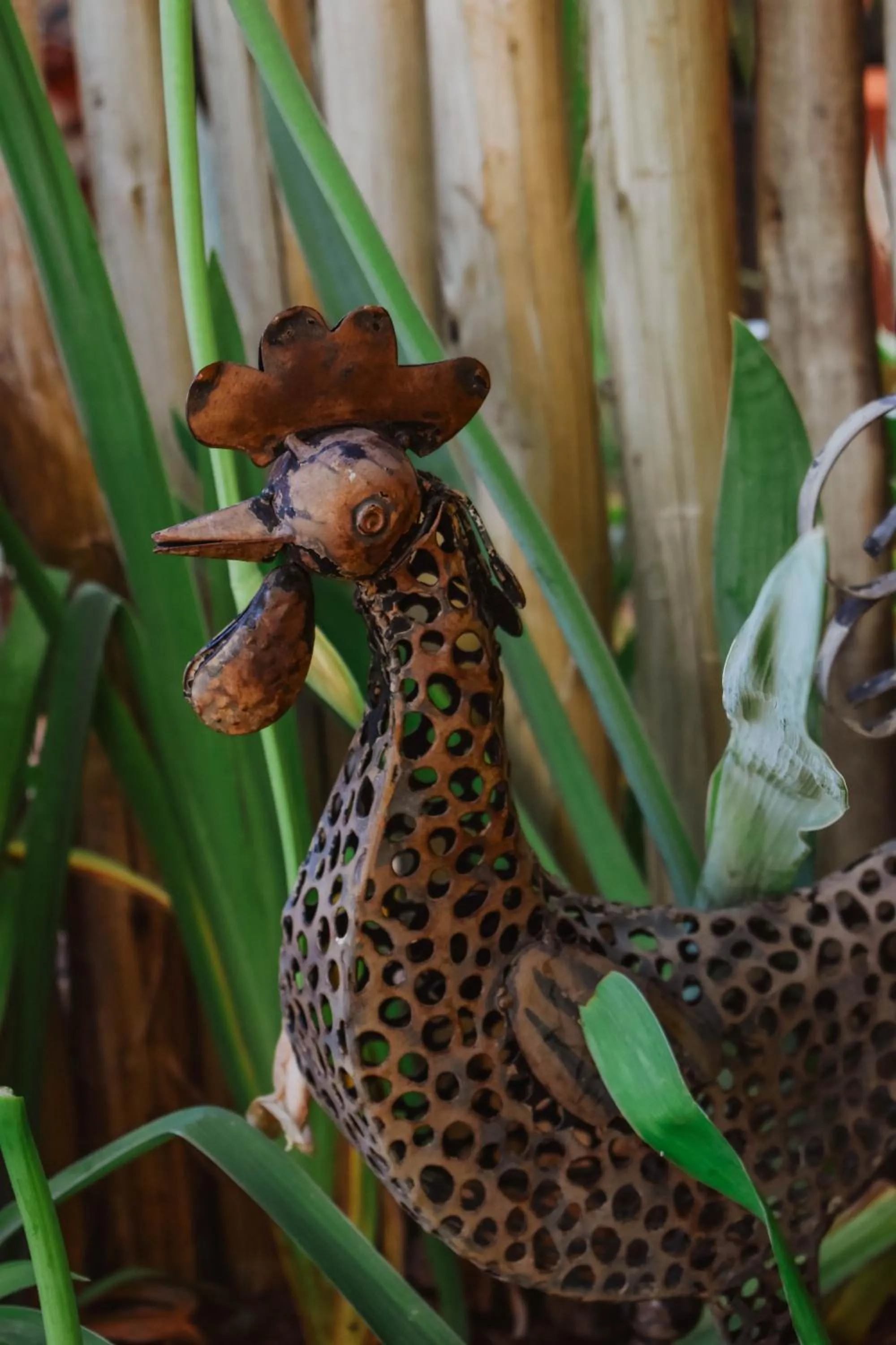 Garden in Eldorado Lodge CC