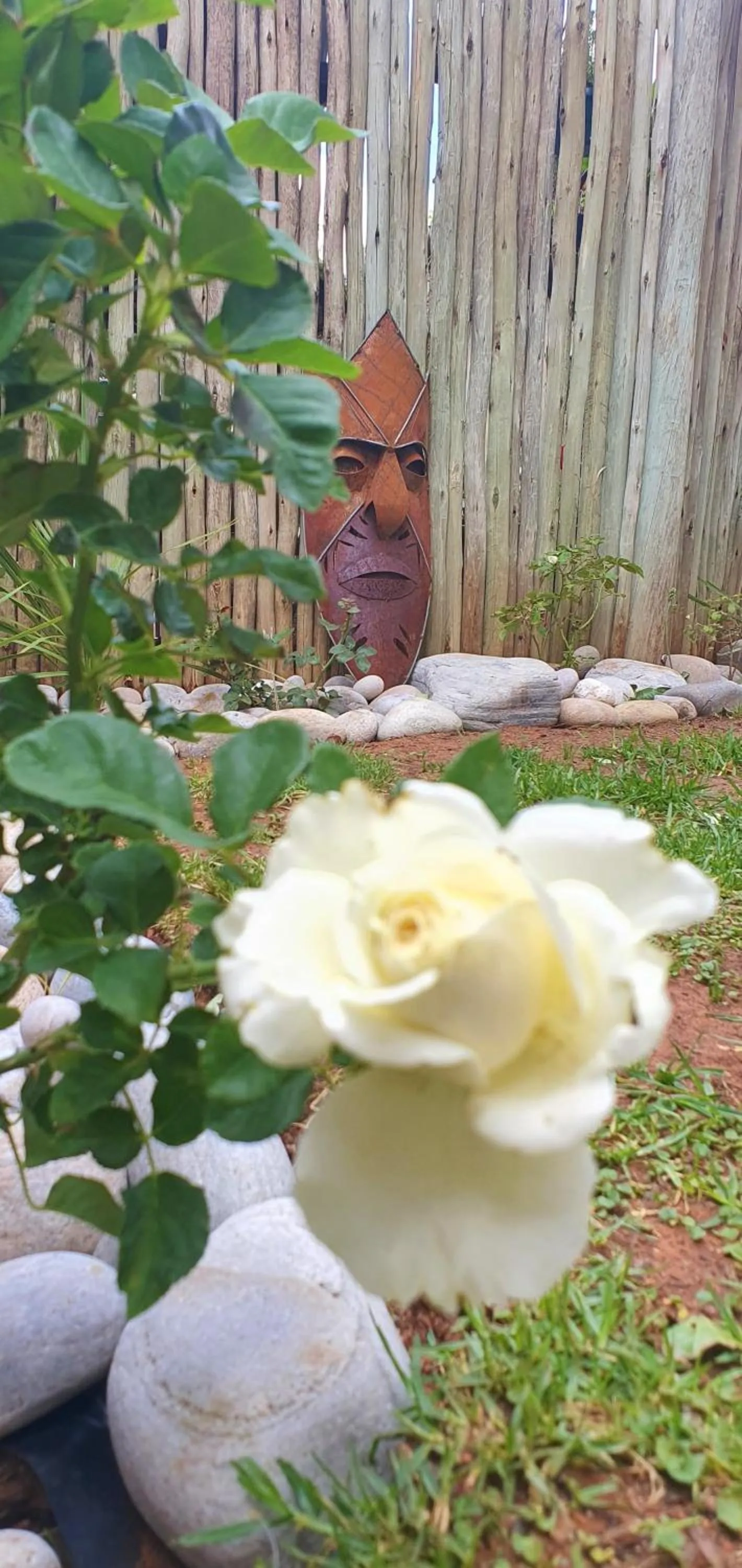 Garden in Eldorado Lodge CC