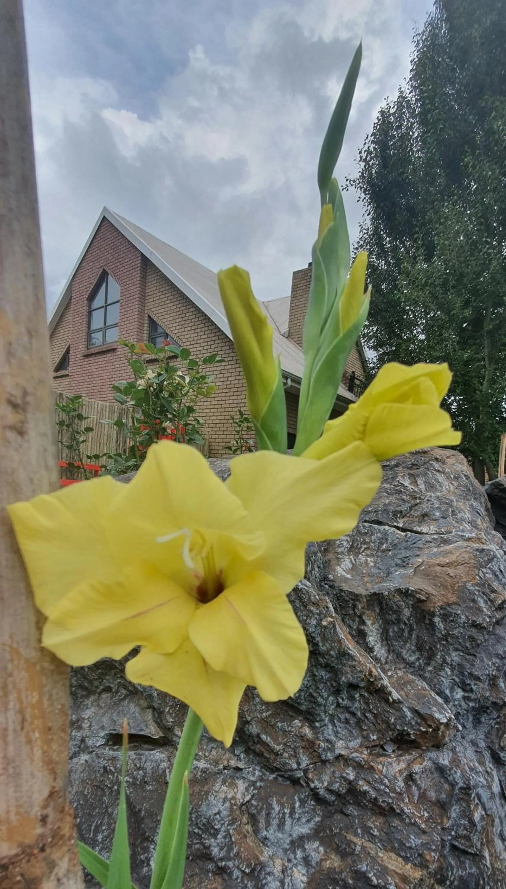 Garden in Eldorado Lodge CC