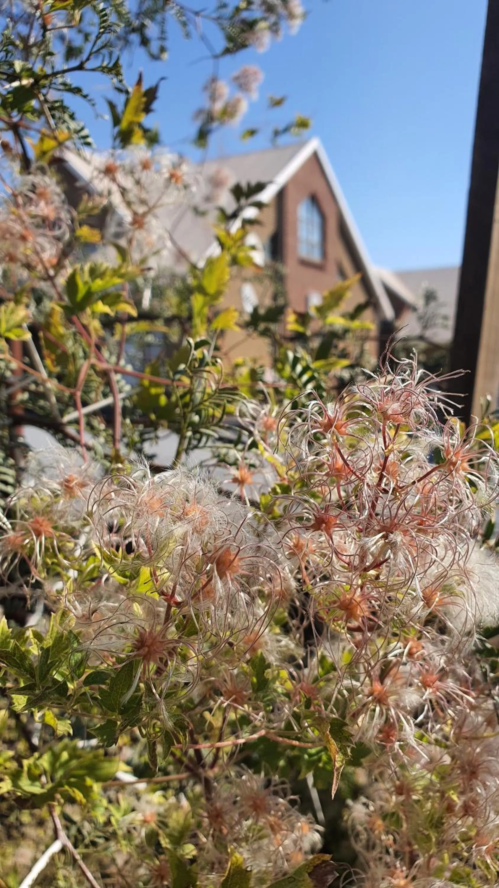 Property building in Eldorado Lodge CC