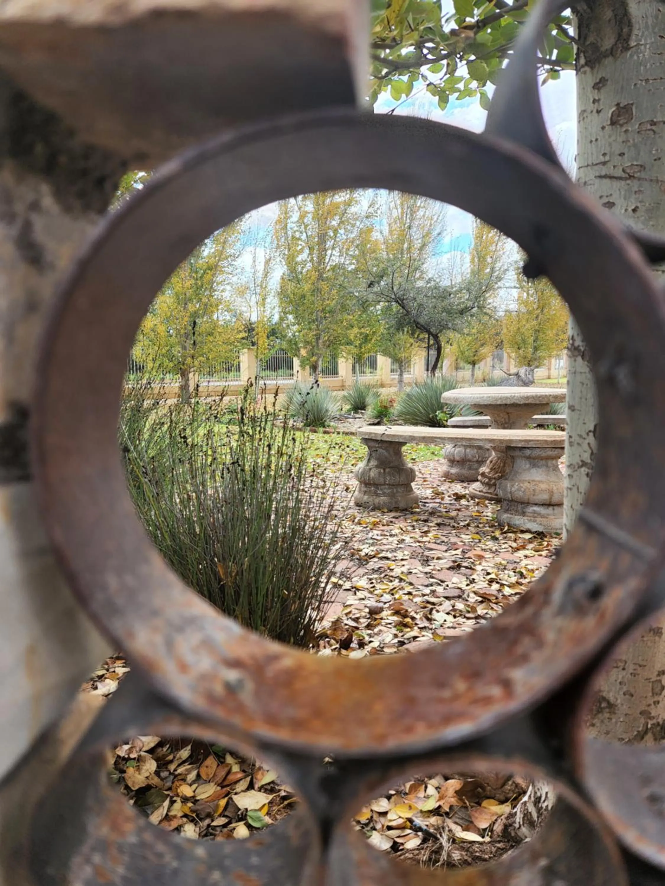 Garden in Eldorado Lodge CC