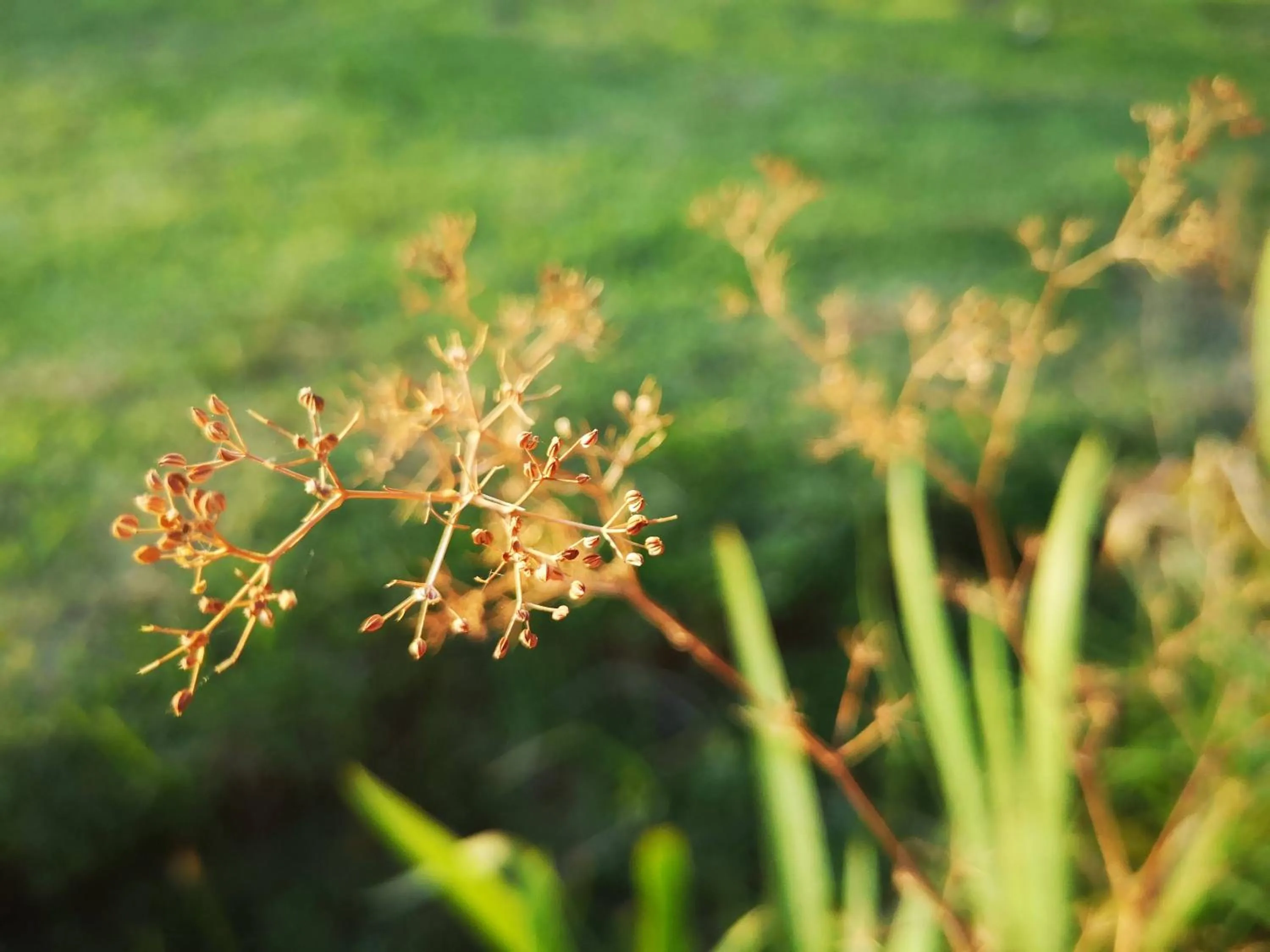 Neighbourhood in Eldorado Lodge CC