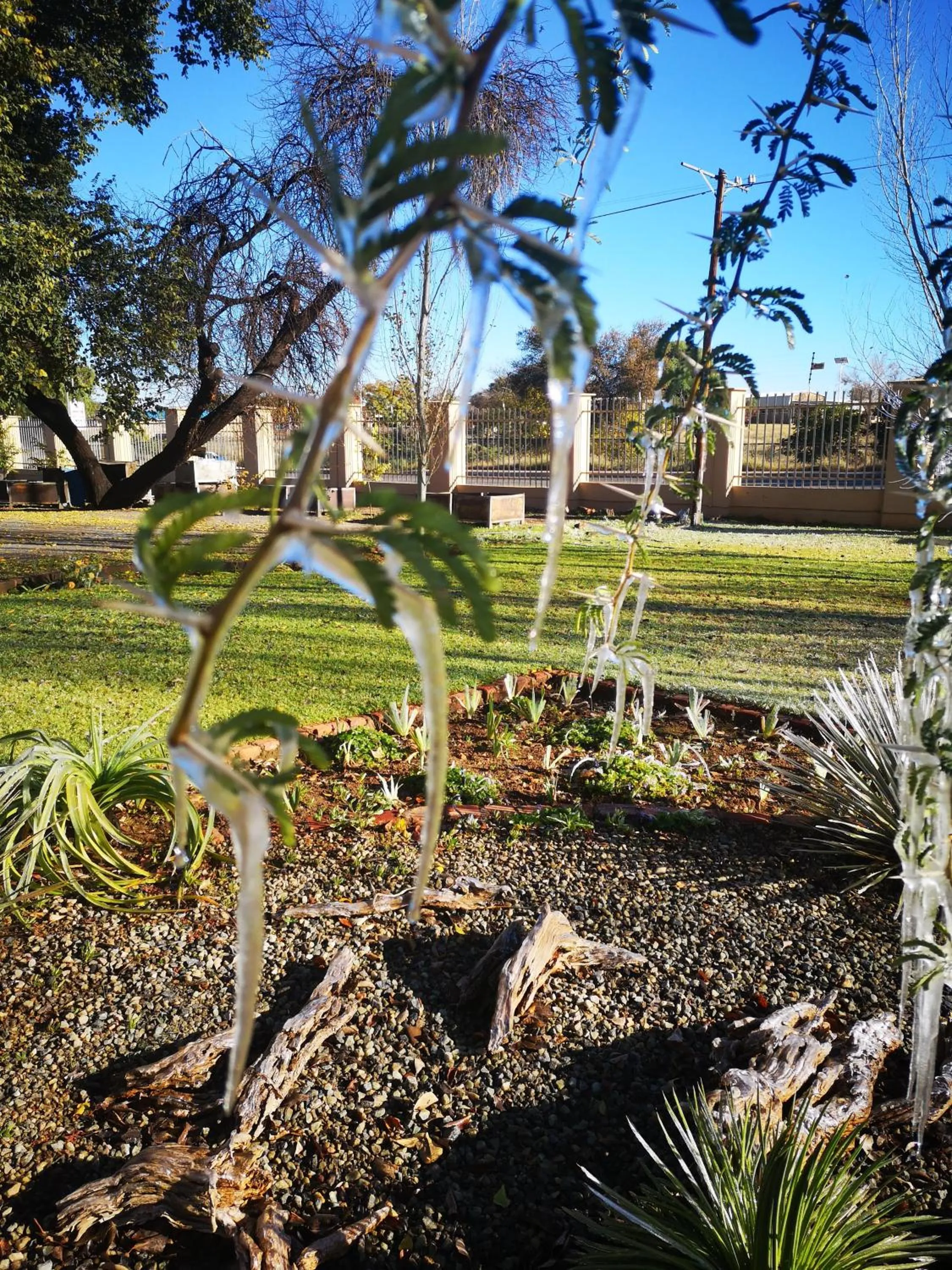 Winter in Eldorado Lodge CC