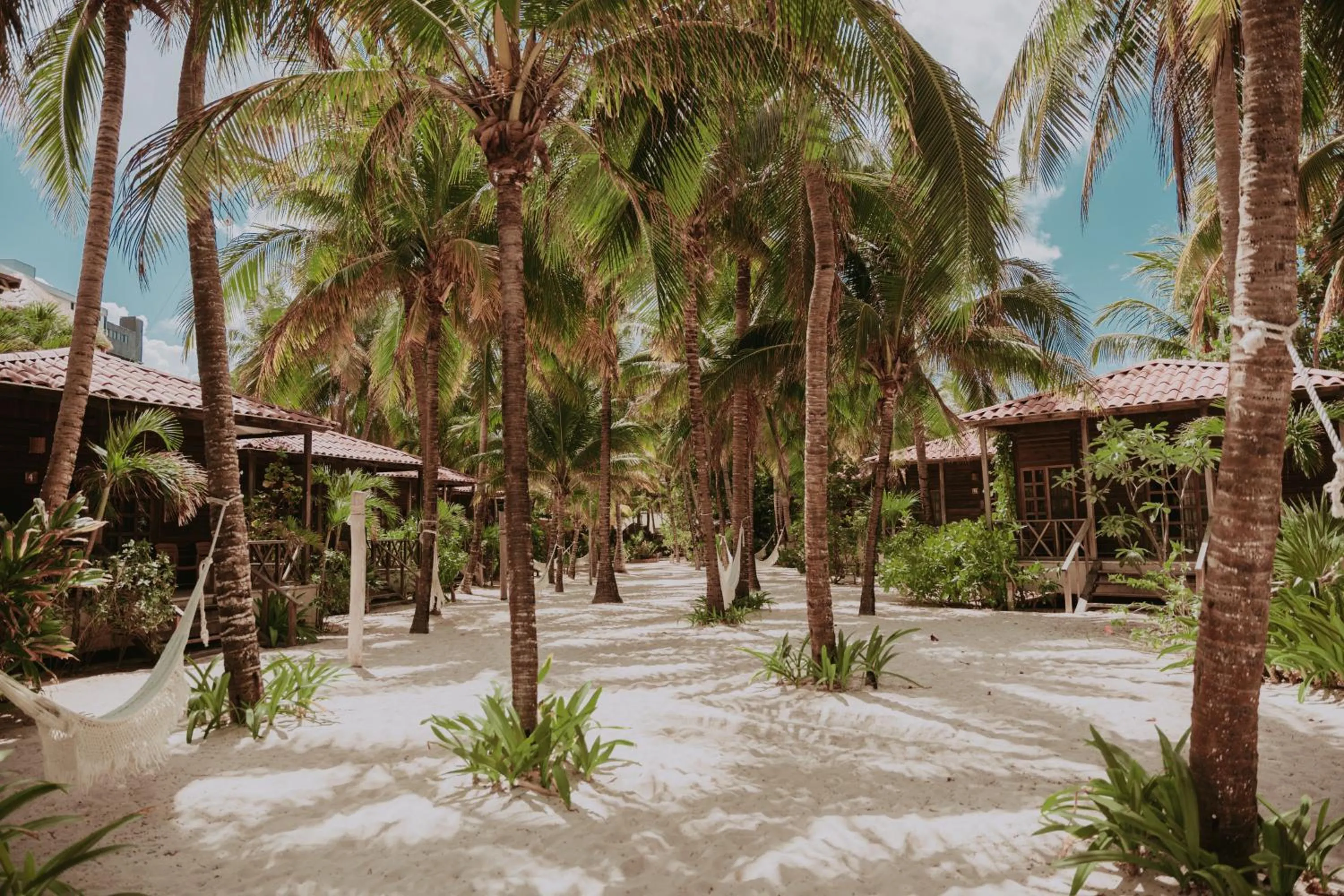 Property building in Petit Lafitte Beach Front Hotel & Bungalows