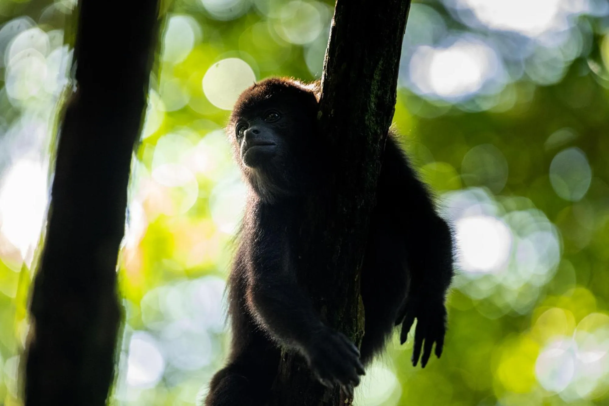 Other in Hotel Villa Mercedes Palenque