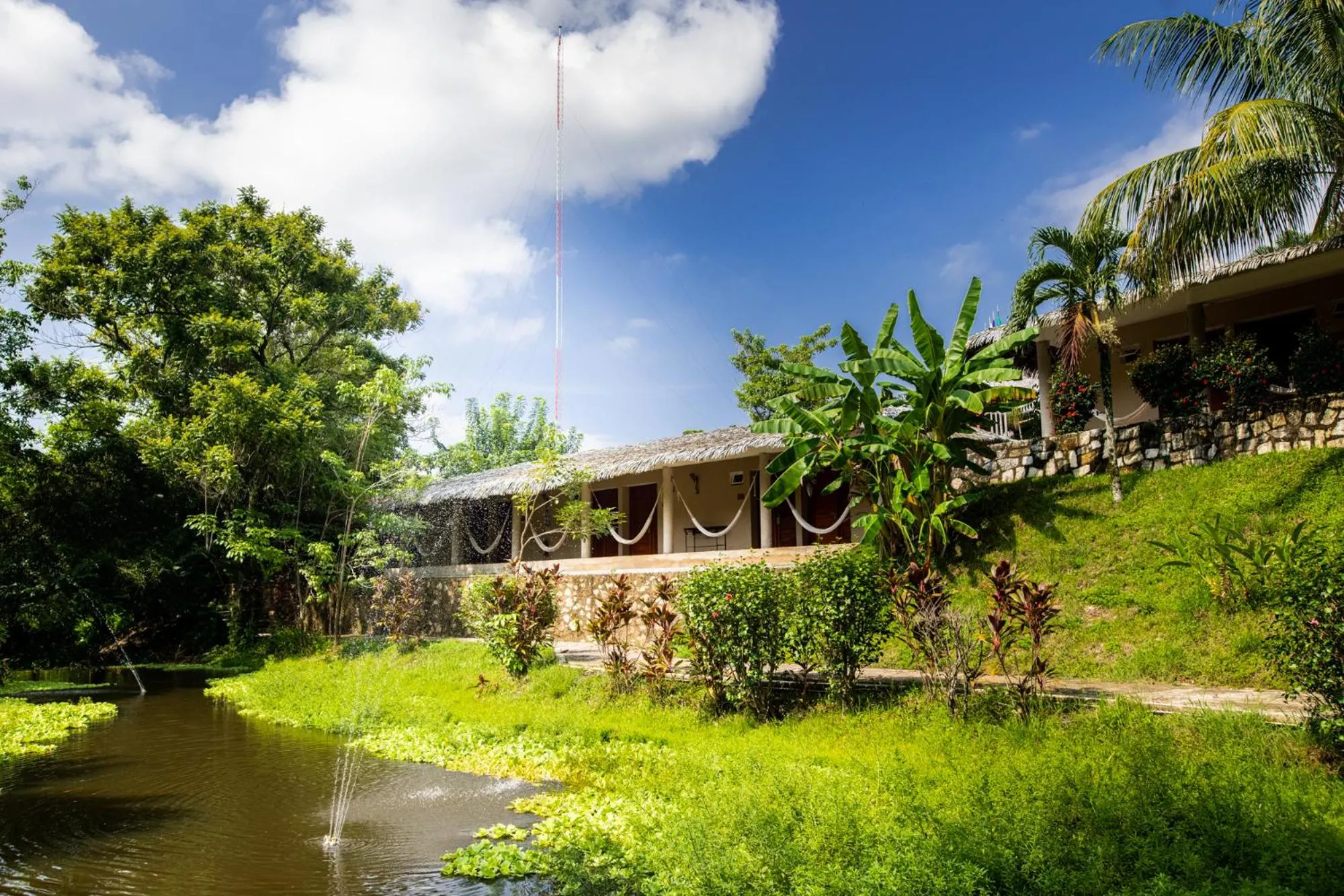 Garden in Hotel Villa Mercedes Palenque