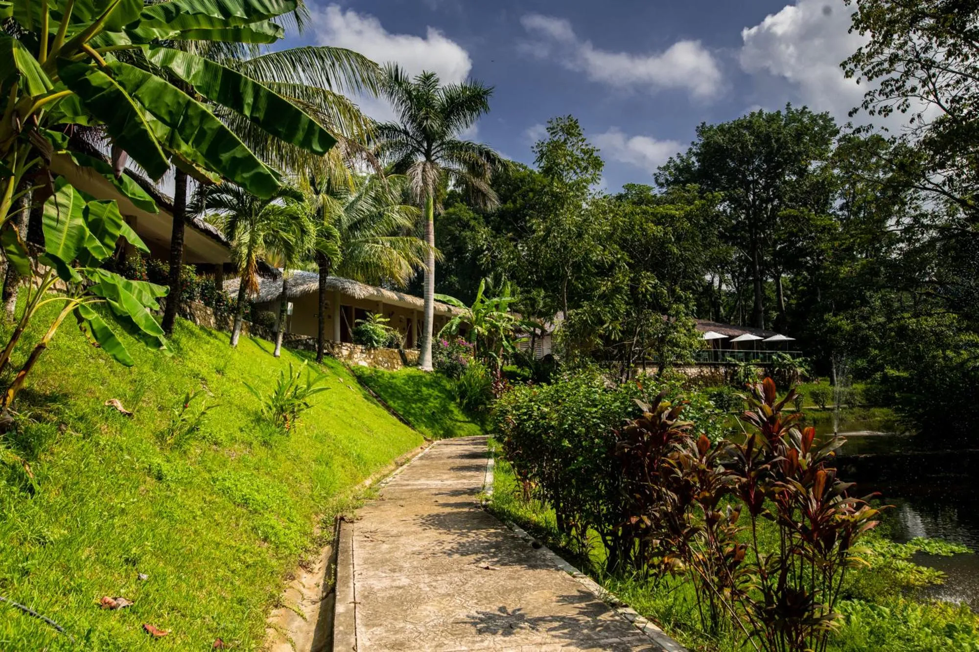 Garden in Hotel Villa Mercedes Palenque