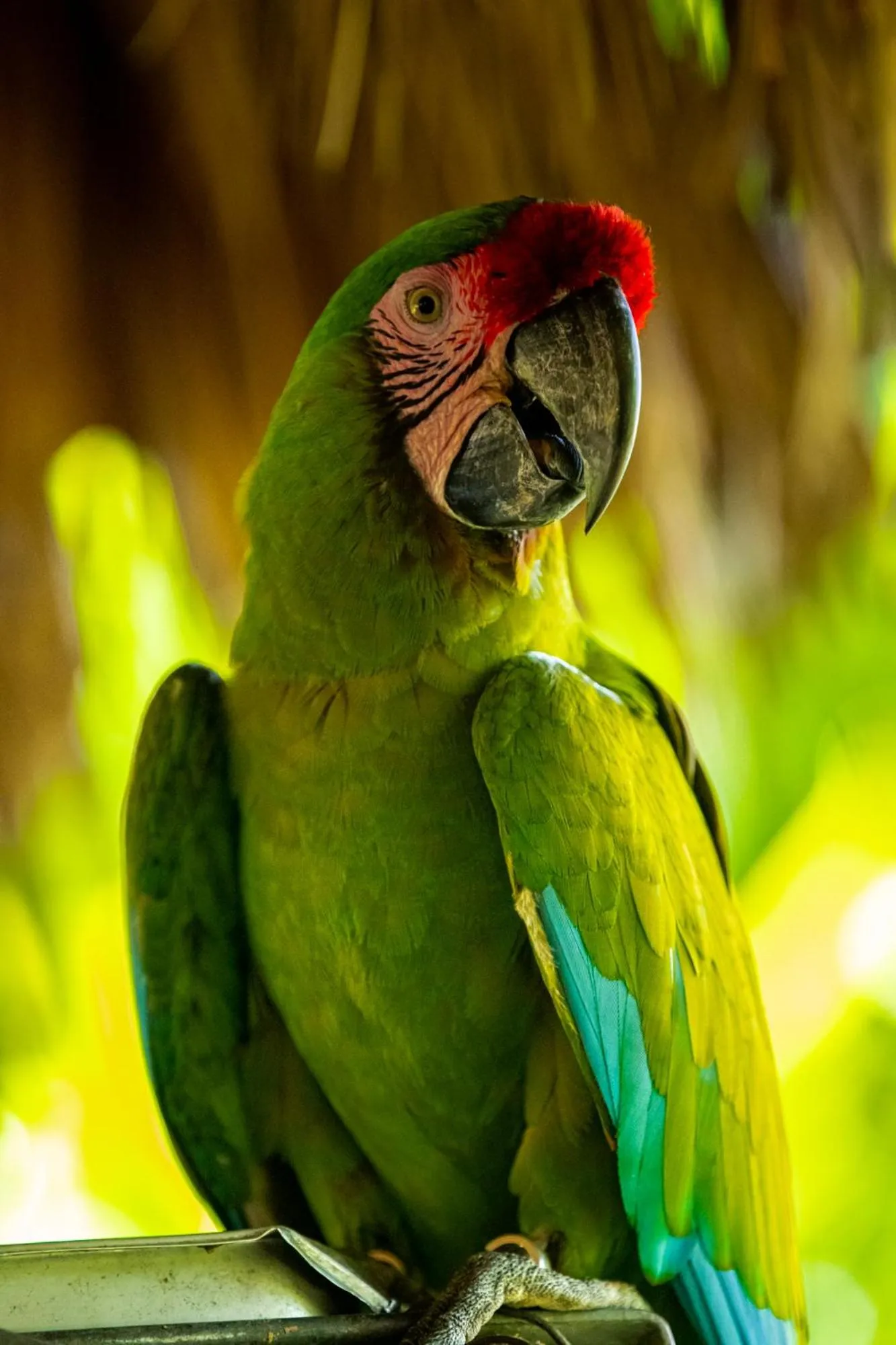 Other in Hotel Villa Mercedes Palenque