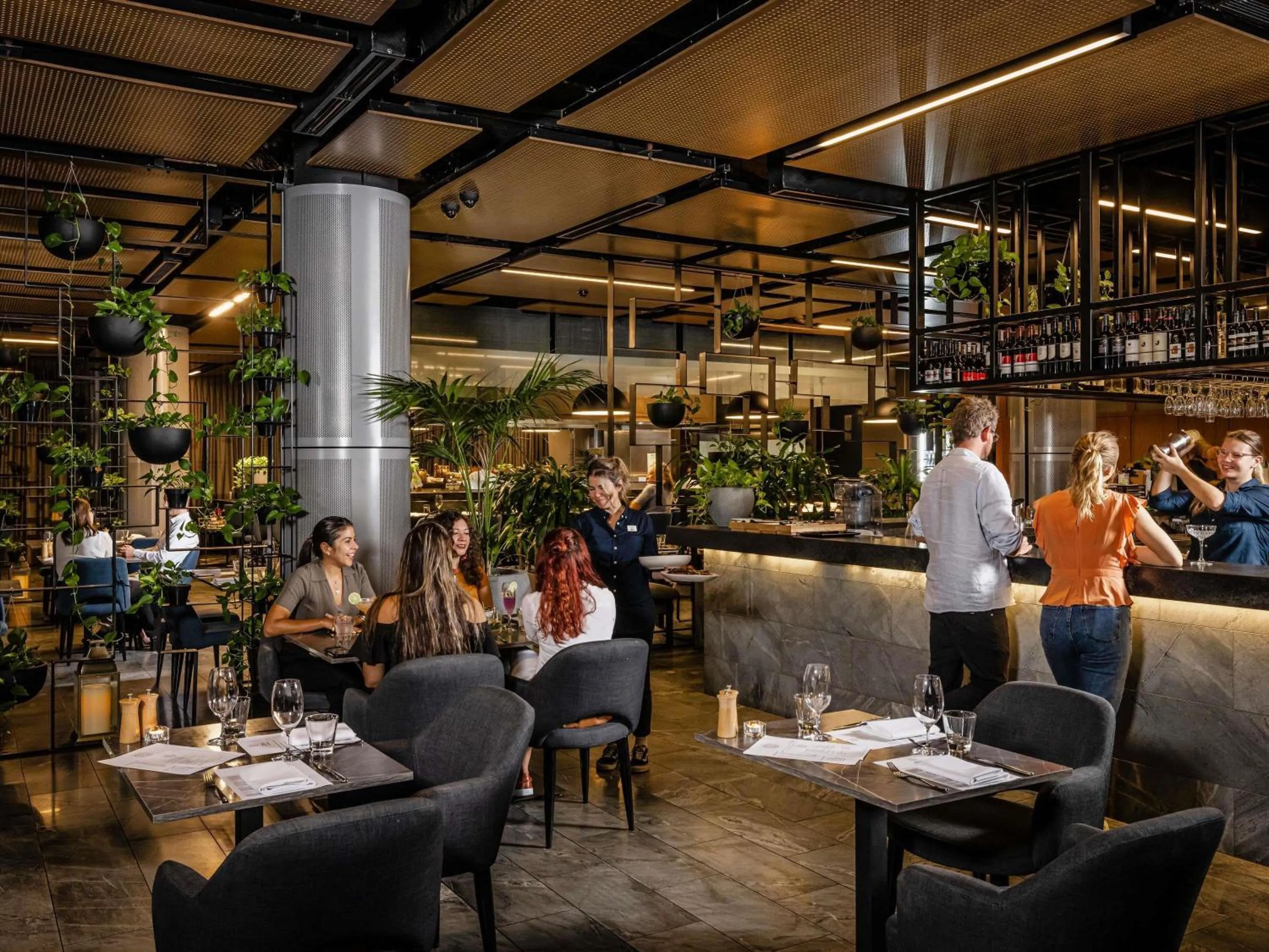 Lounge or bar in Novotel Brisbane South Bank