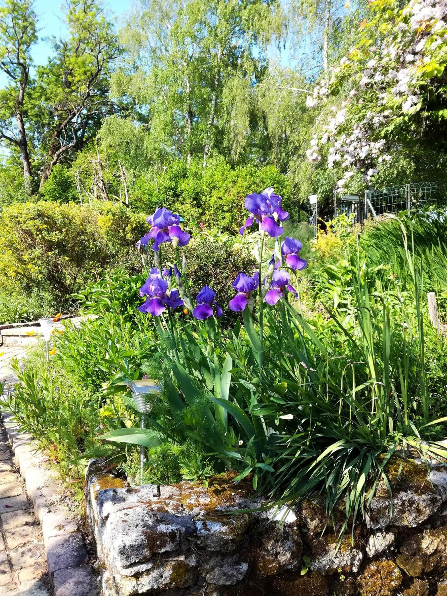 Garden in Les Jardins de Camelot