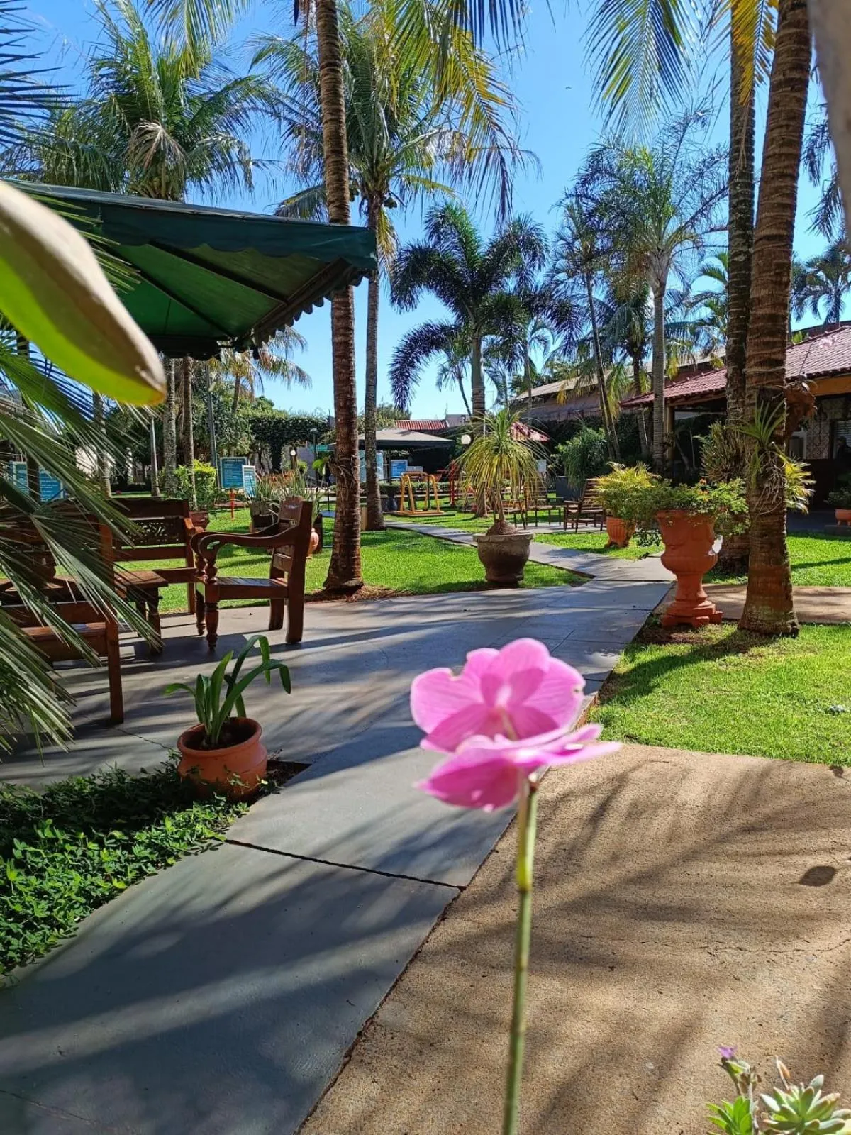 Garden in Hotel GAPH Maringa - Economico Mini Resort