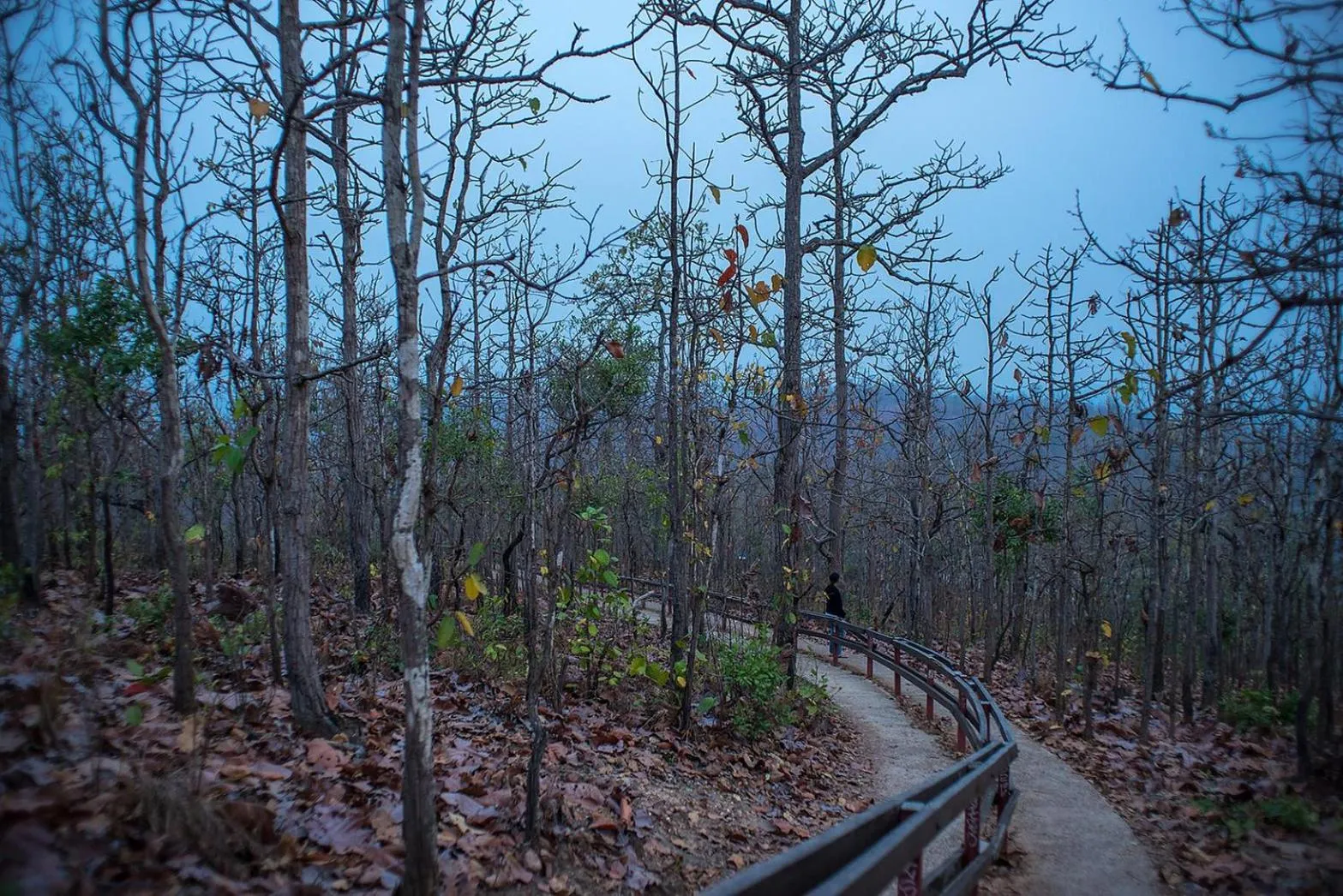 Nearby landmark in Kalm Pai