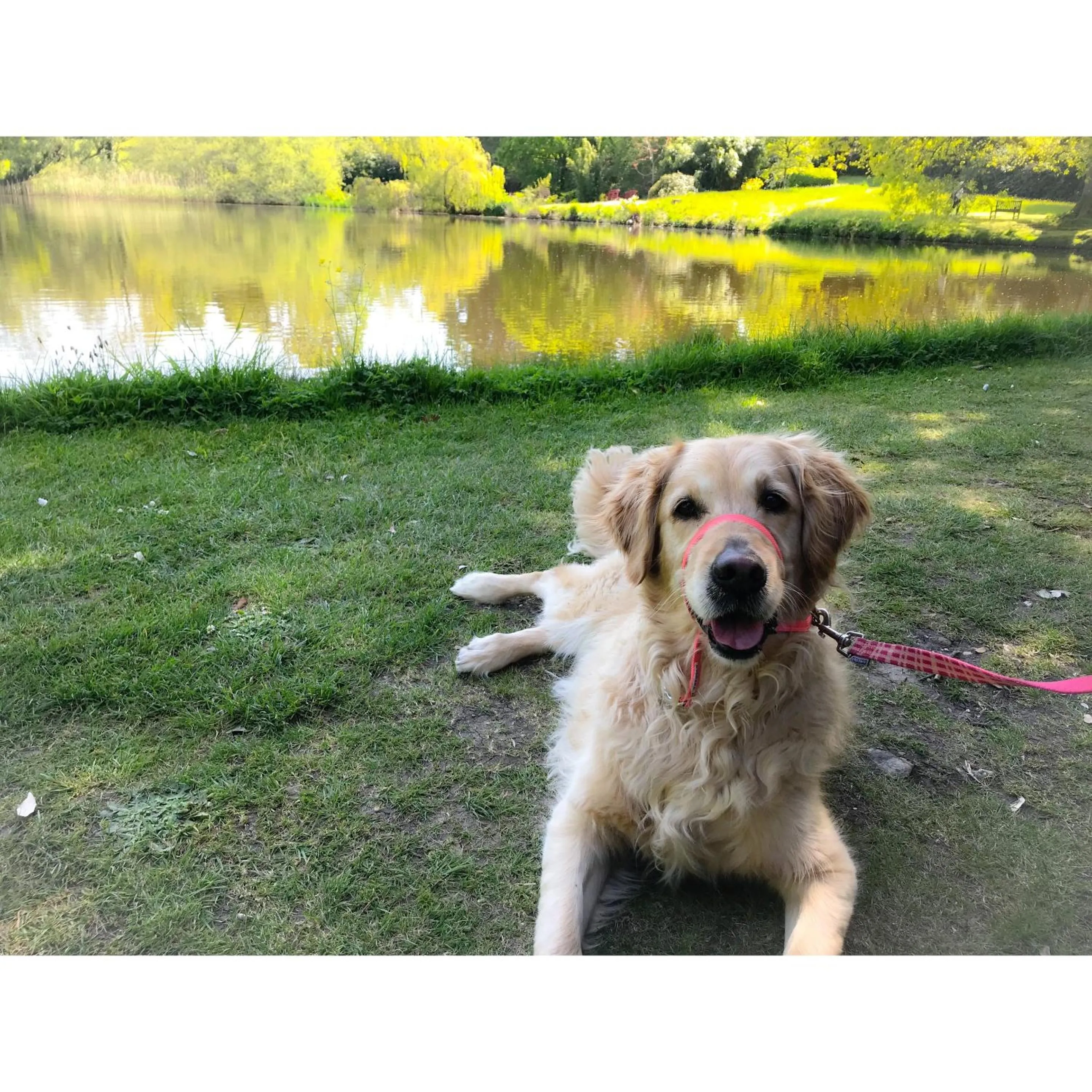 Other in The Golden Fleece