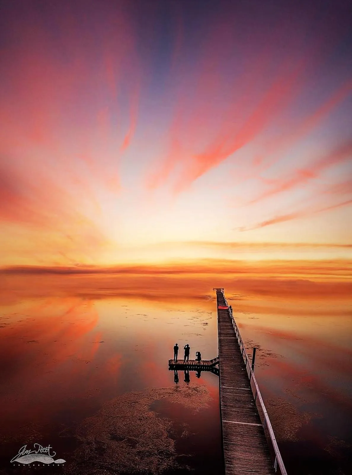 Other in Jetty Motel The Entrance