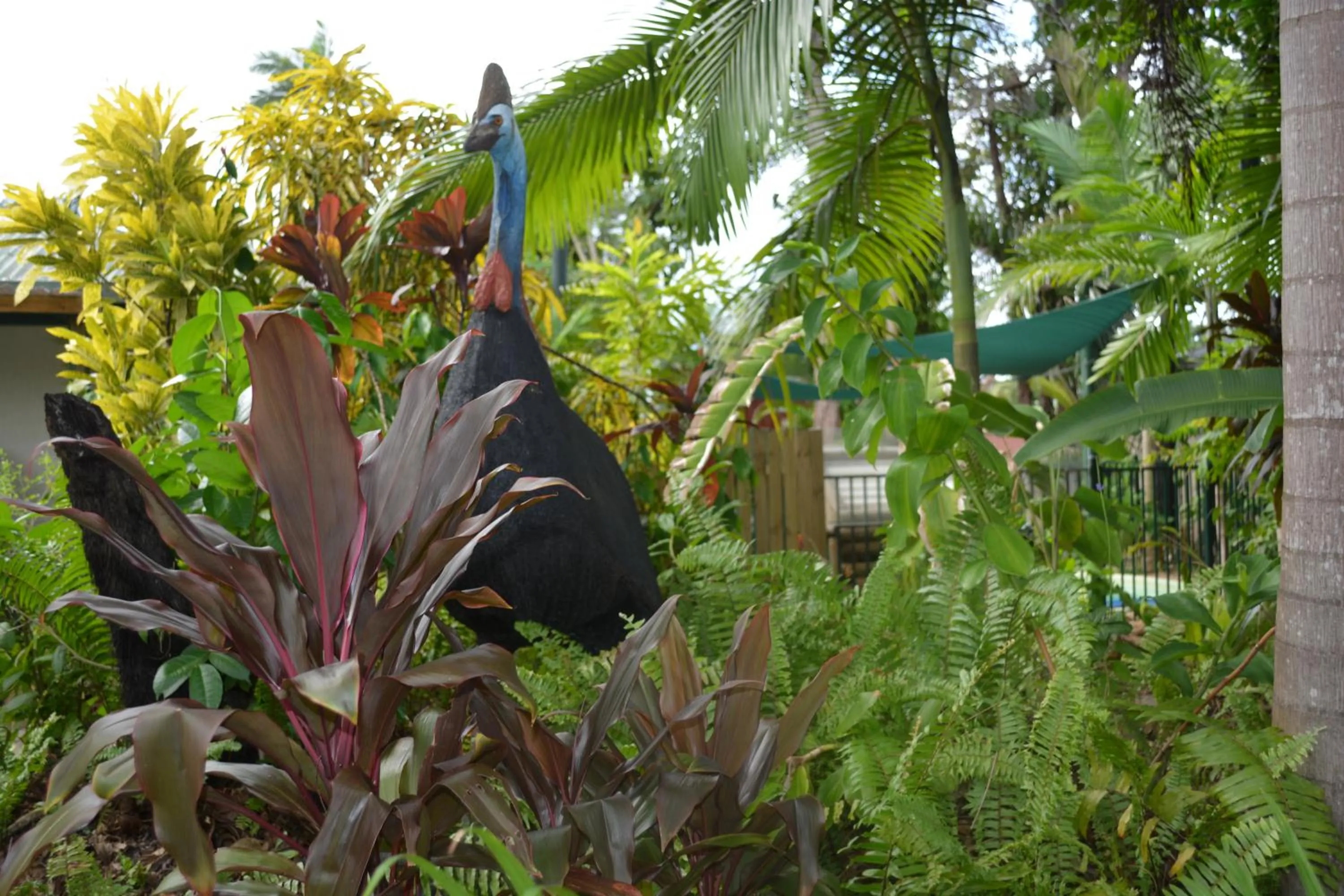 Other in Rainforest Motel