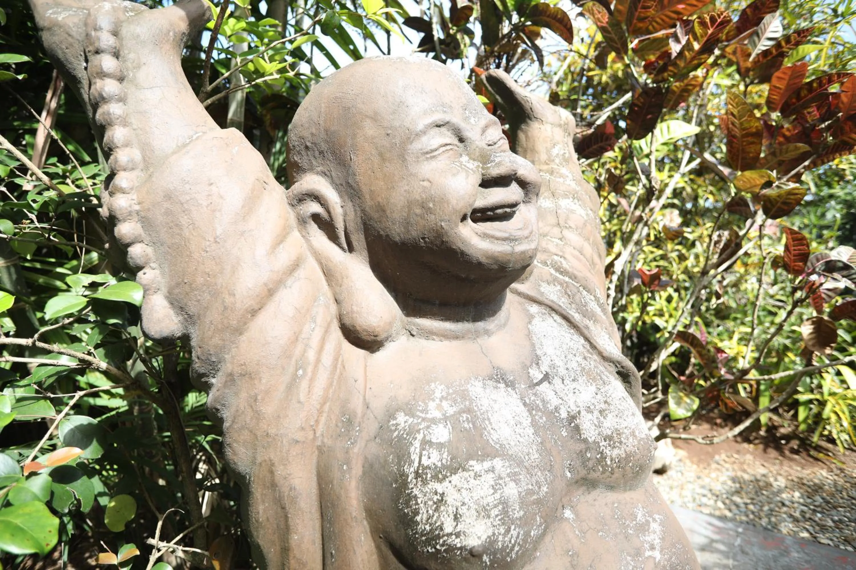 Garden in Rainforest Motel