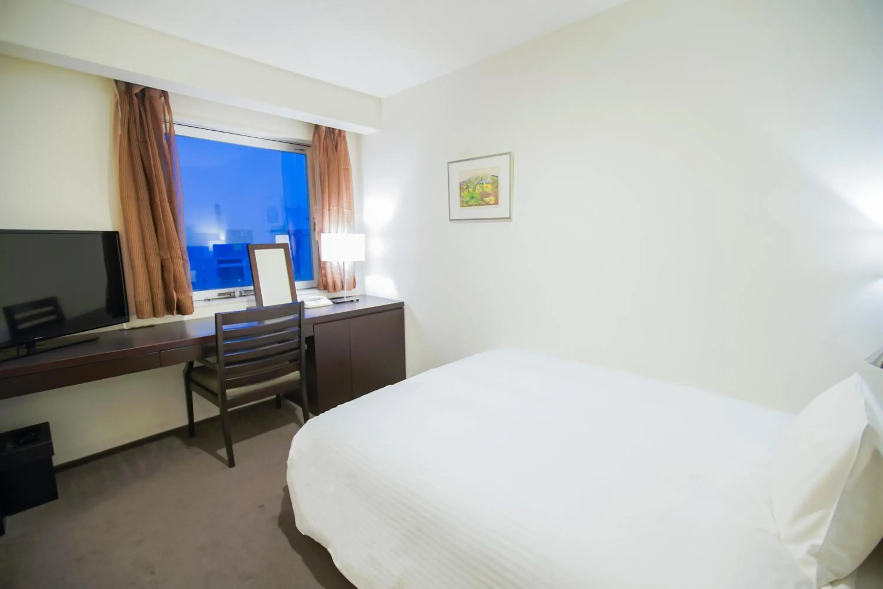 Single Room - single occupancy in Hotel Sunroute Tokushima Single Room - single occupancy in Hotel Sunroute Tokushima