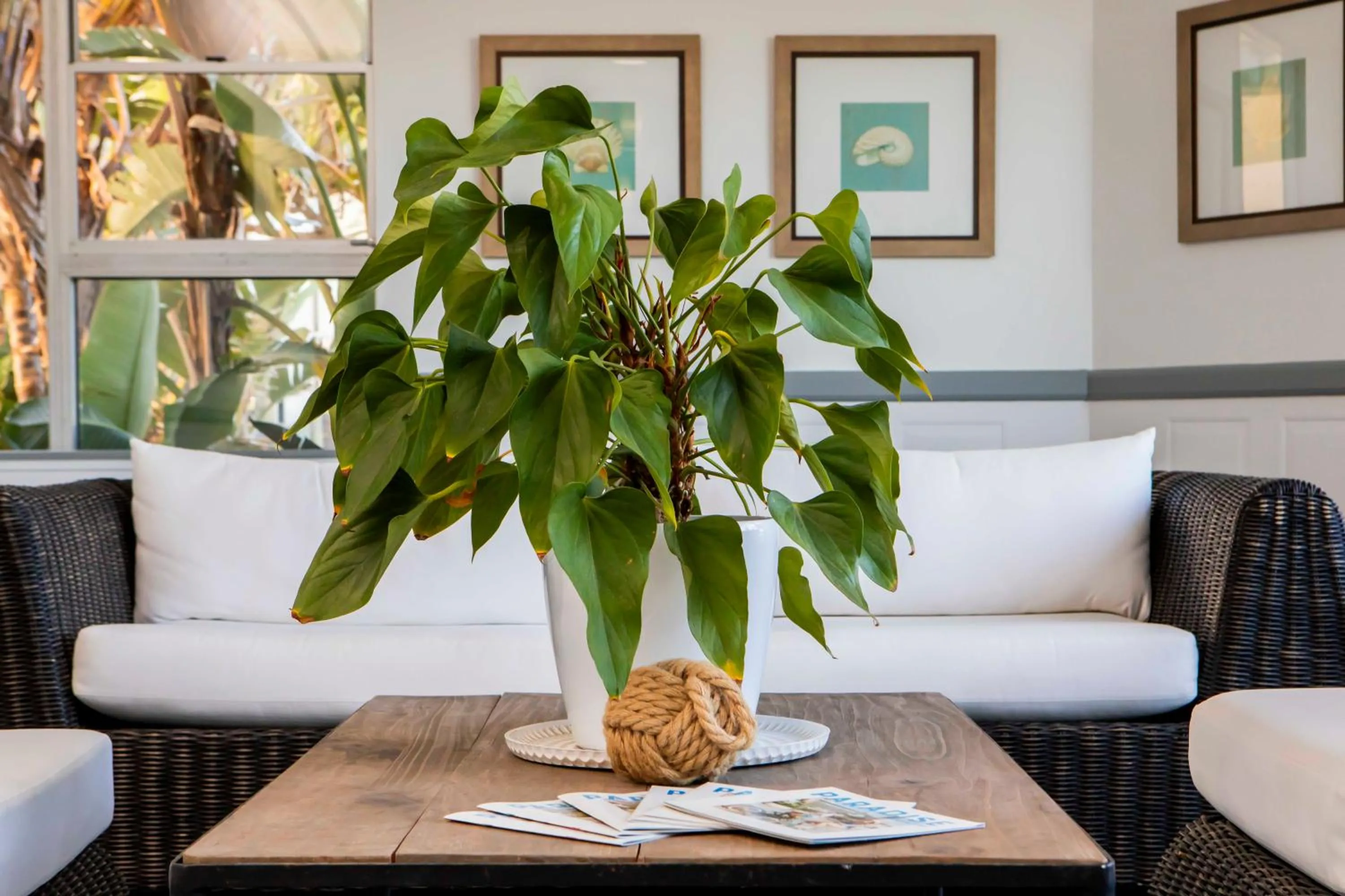 Pacific Plaza Apartments