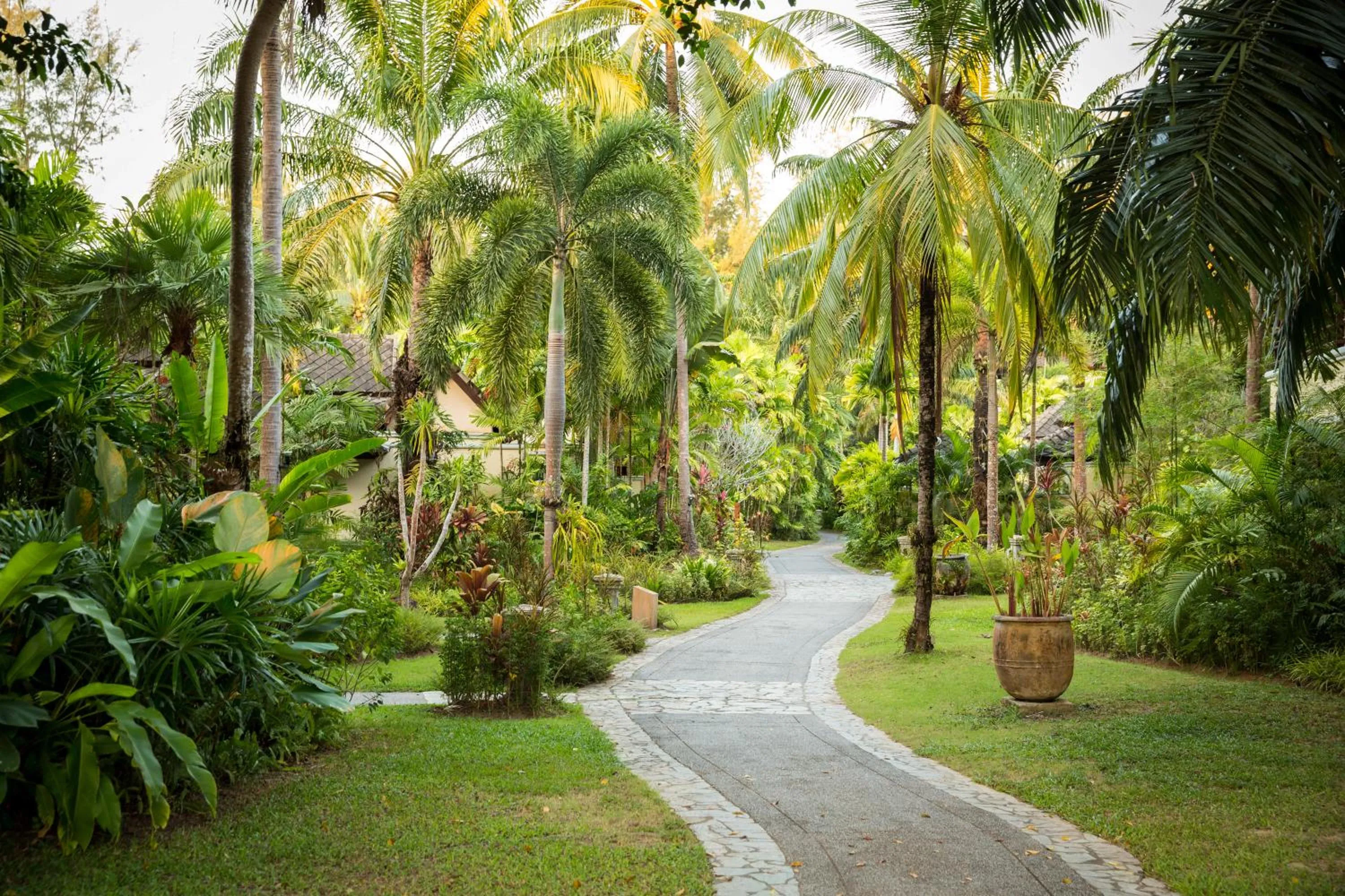 Garden in ROBINSON KHAO LAK