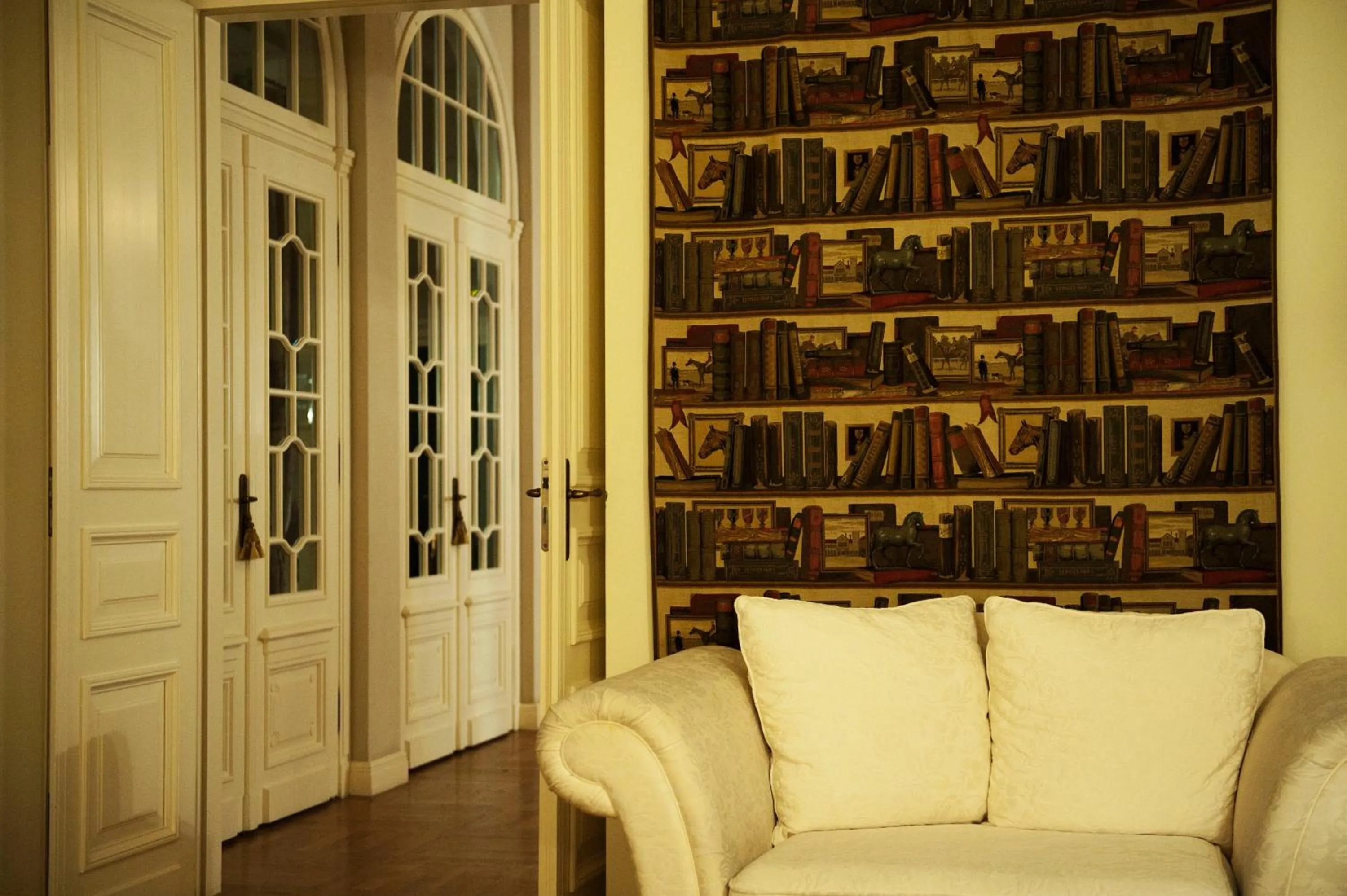 Library in Pałac Zdunowo