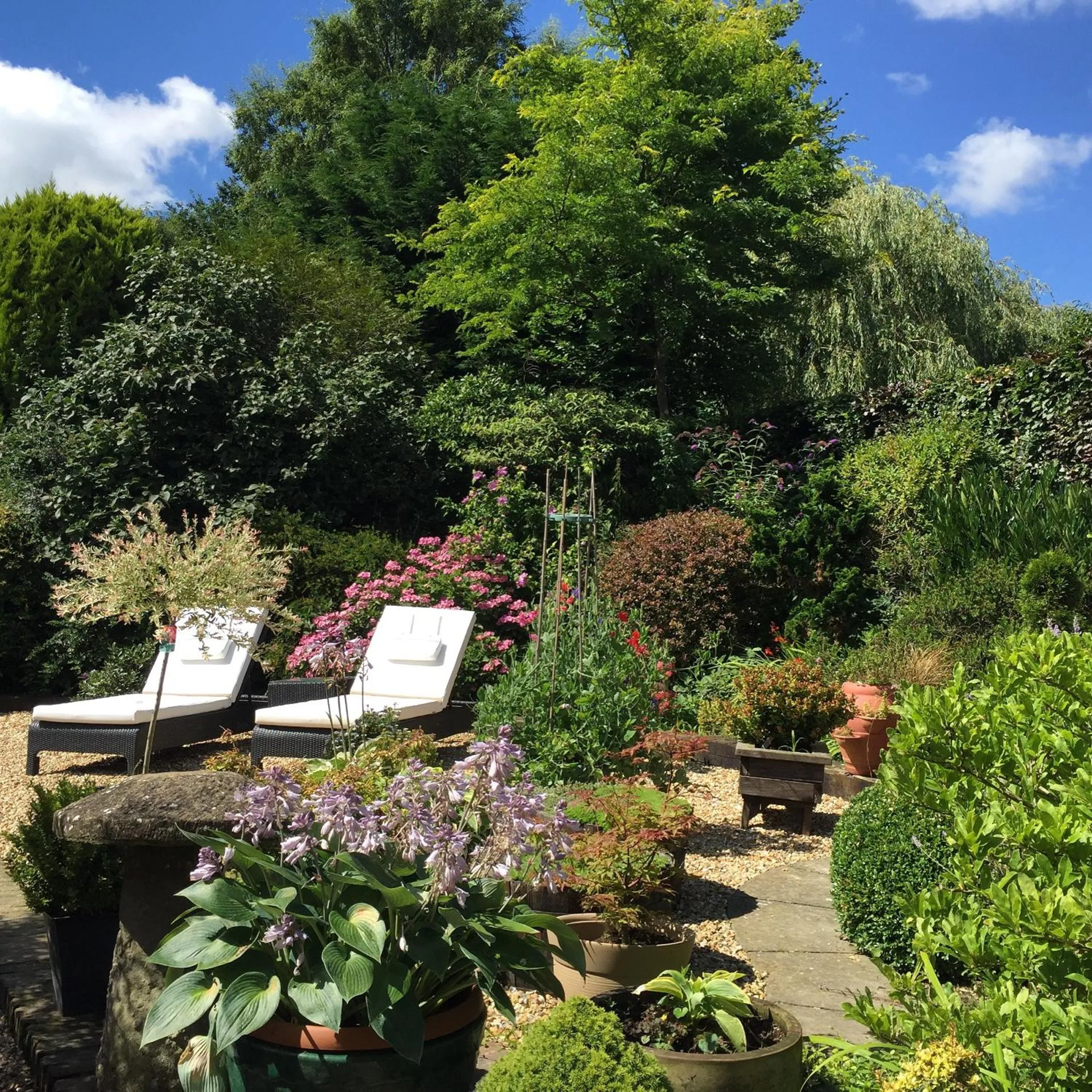 Summer in Beechwood B and B