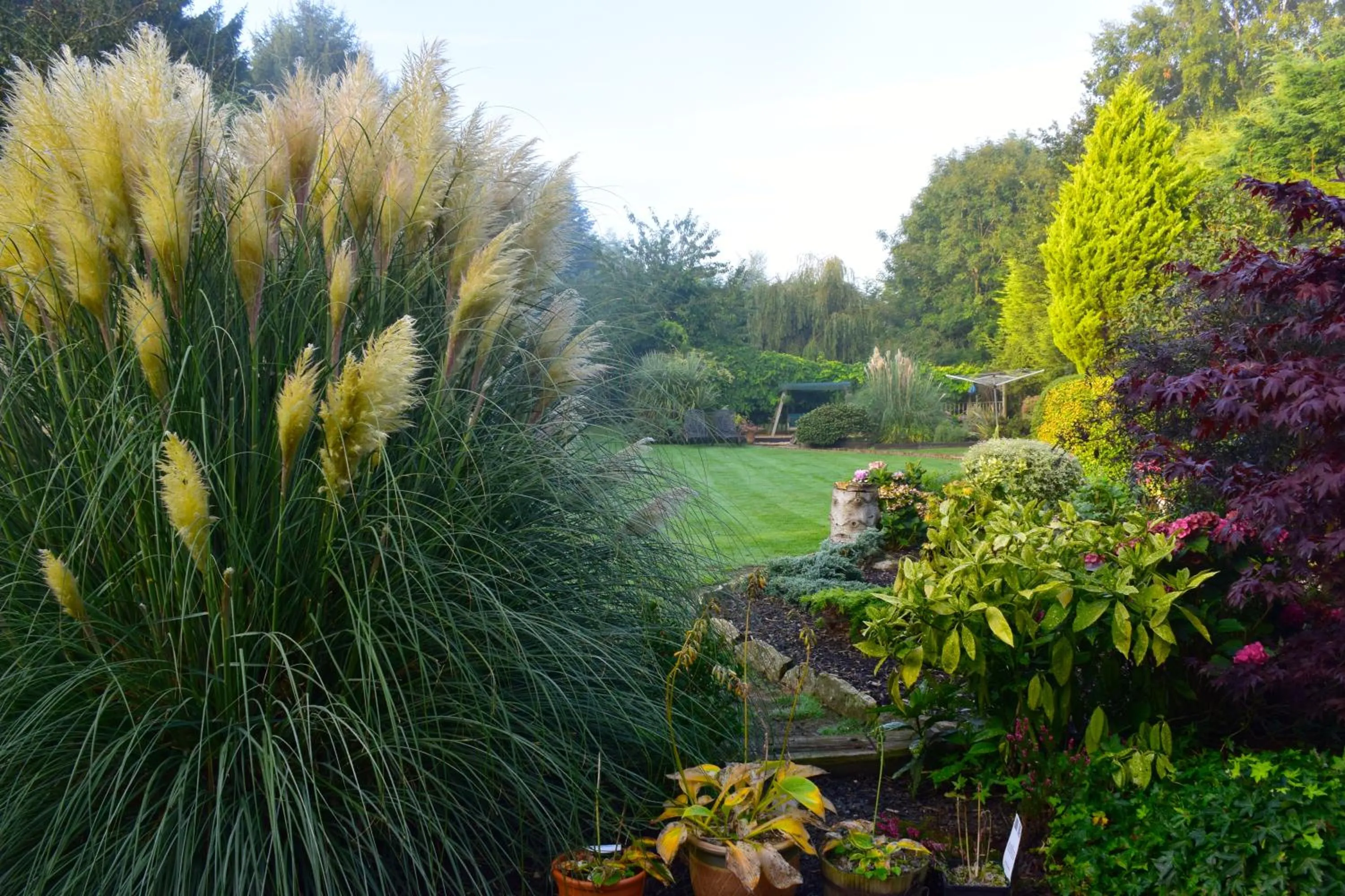 Patio in Beechwood B and B